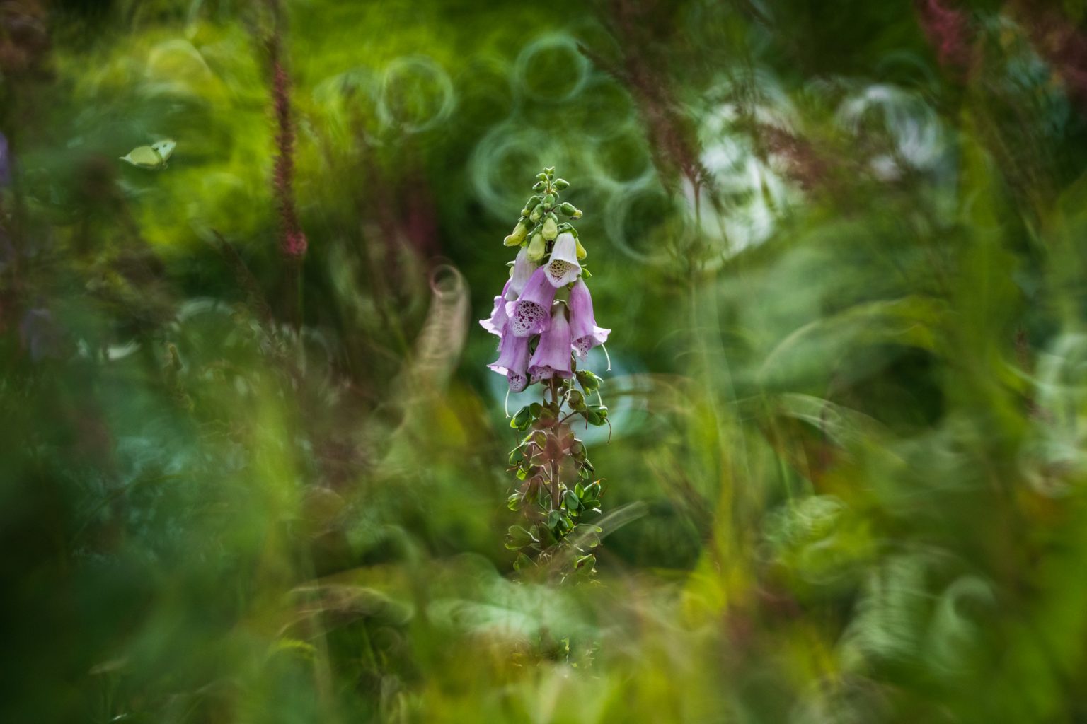 Galeria wybranych zdjęć od InterFoto.eu Galeria wybranych zdjęć od InterFoto.eu