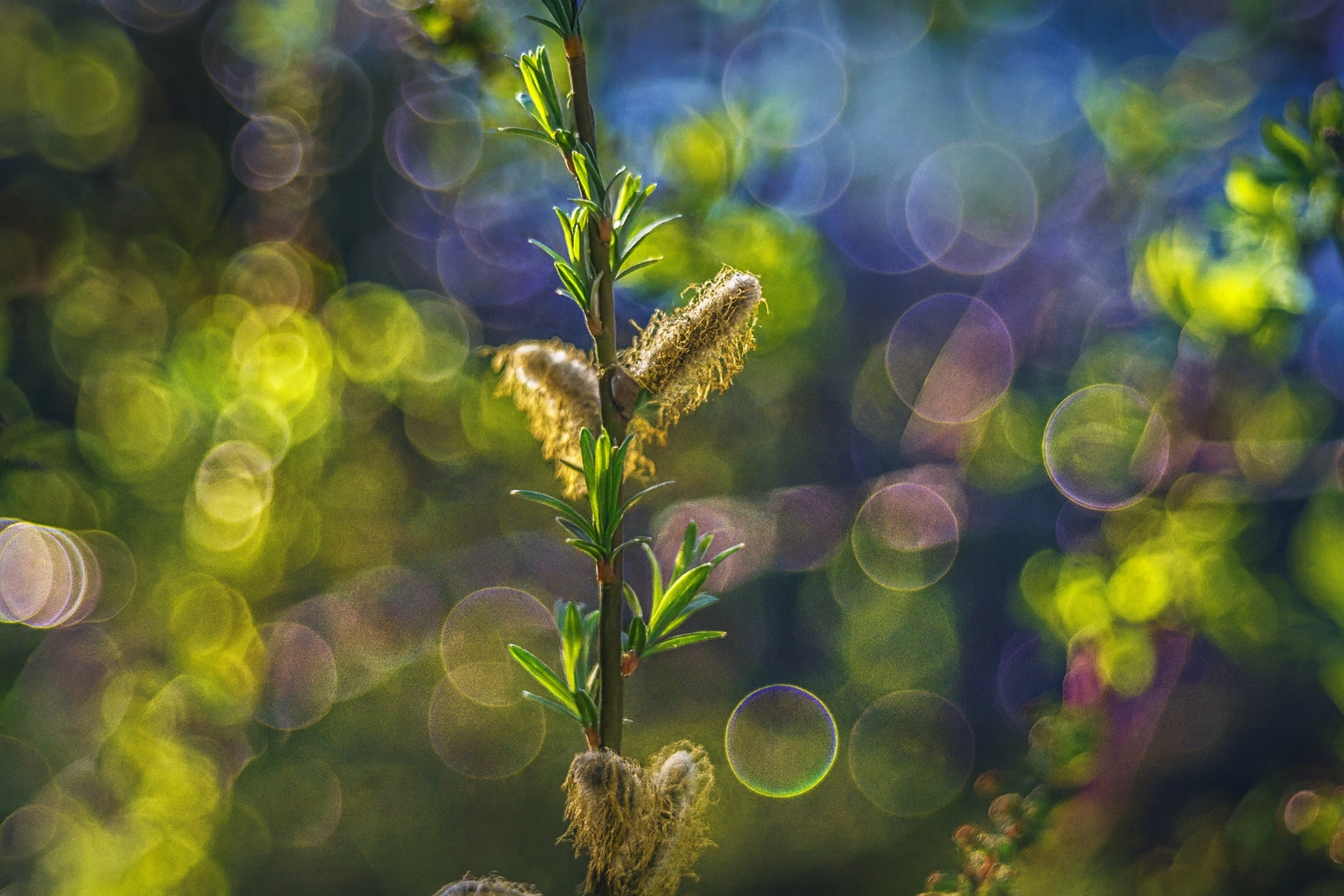 Galeria wybranych zdjęć od InterFoto.eu Galeria wybranych zdjęć od InterFoto.eu