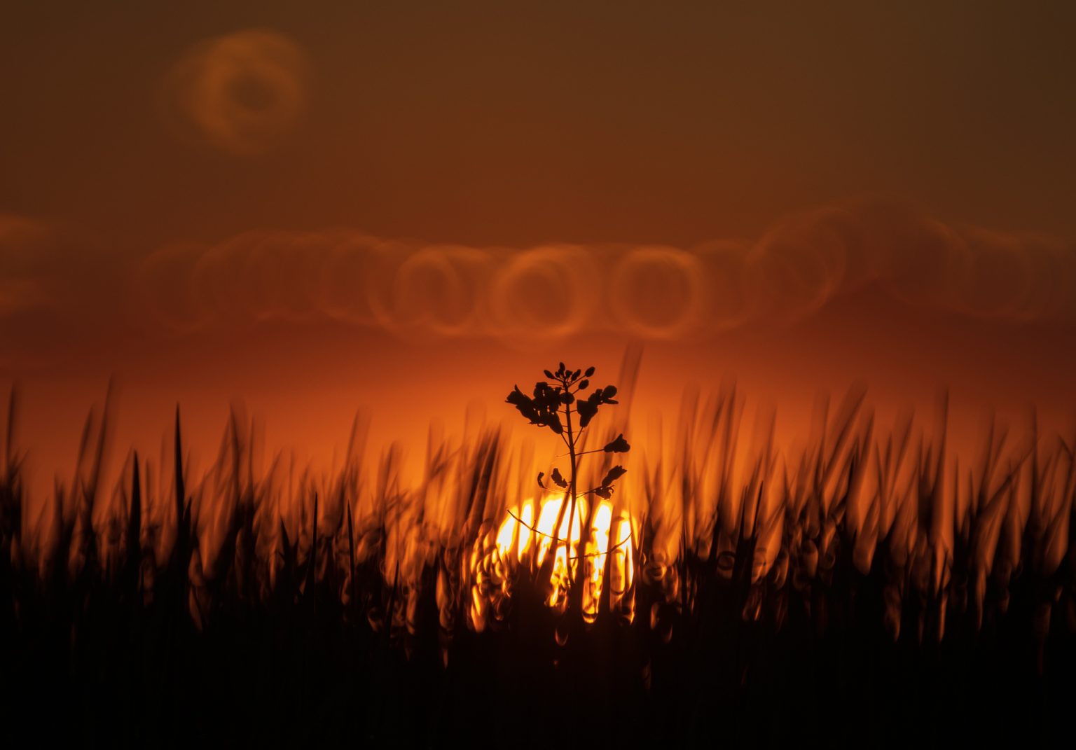 Galeria wybranych zdjęć od InterFoto.eu Galeria wybranych zdjęć od InterFoto.eu