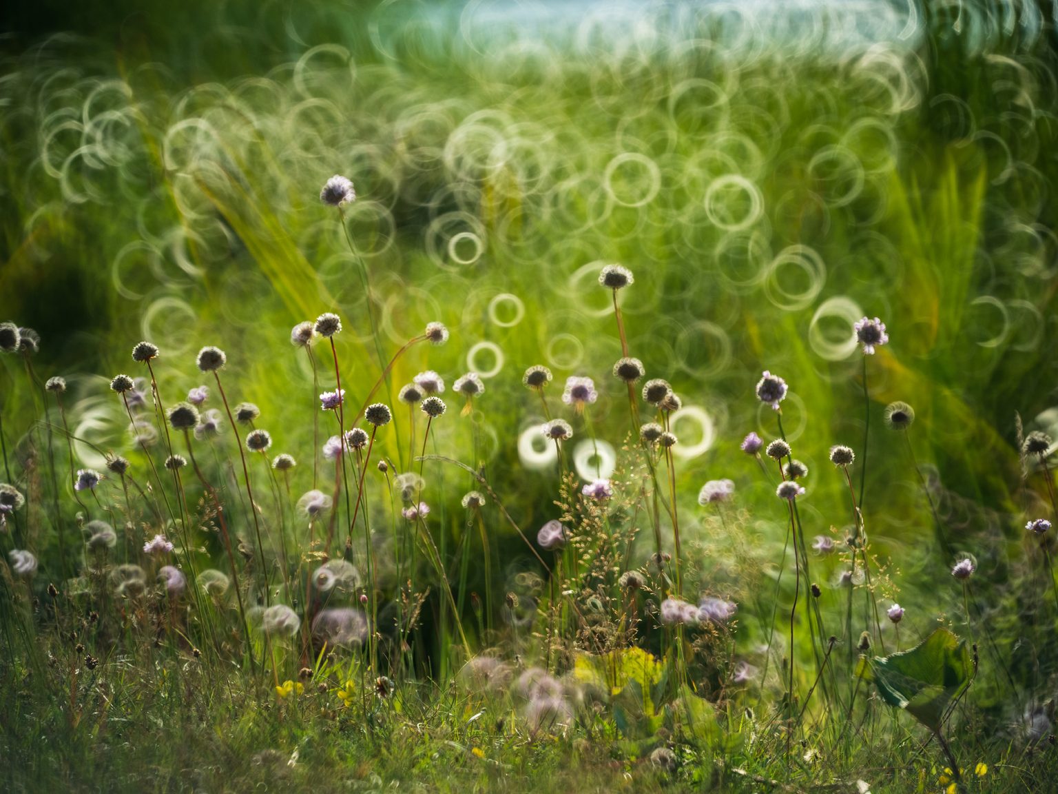 Galeria wybranych zdjęć od InterFoto.eu Galeria wybranych zdjęć od InterFoto.eu