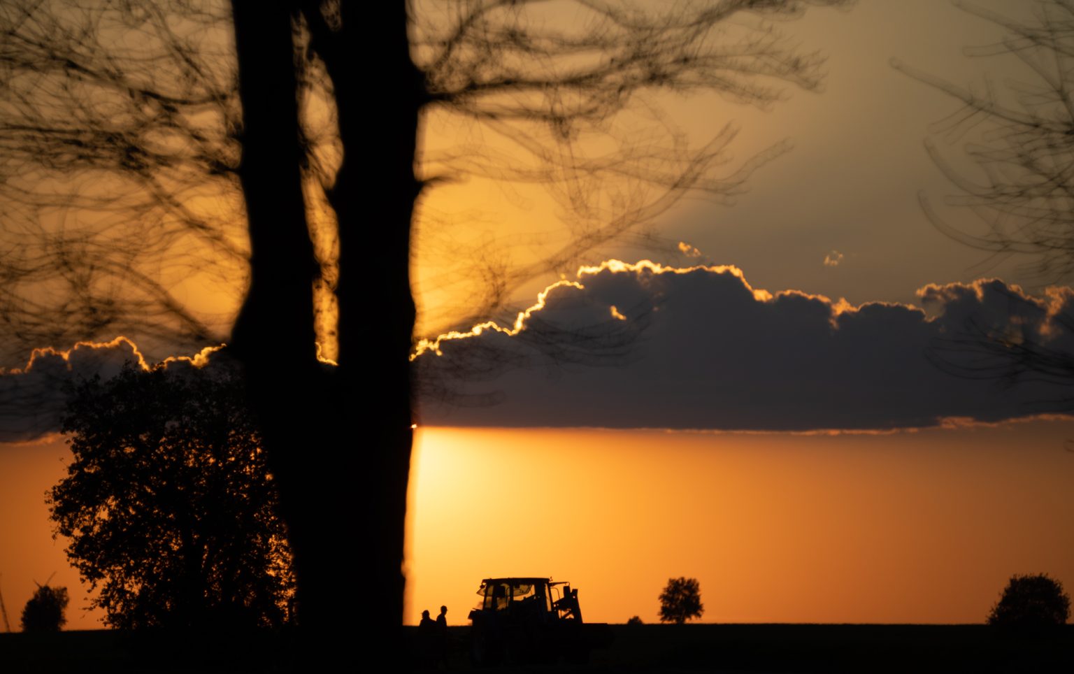 Galeria wybranych zdjęć od InterFoto.eu Galeria wybranych zdjęć od InterFoto.eu