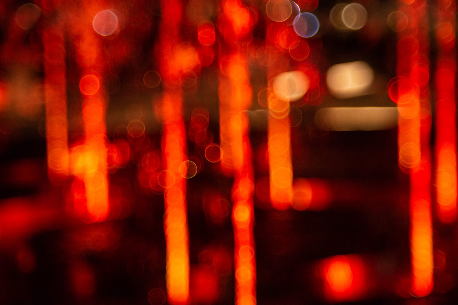 Galeria wybranych zdjęć od InterFoto.eu Galeria wybranych zdjęć od InterFoto.eu