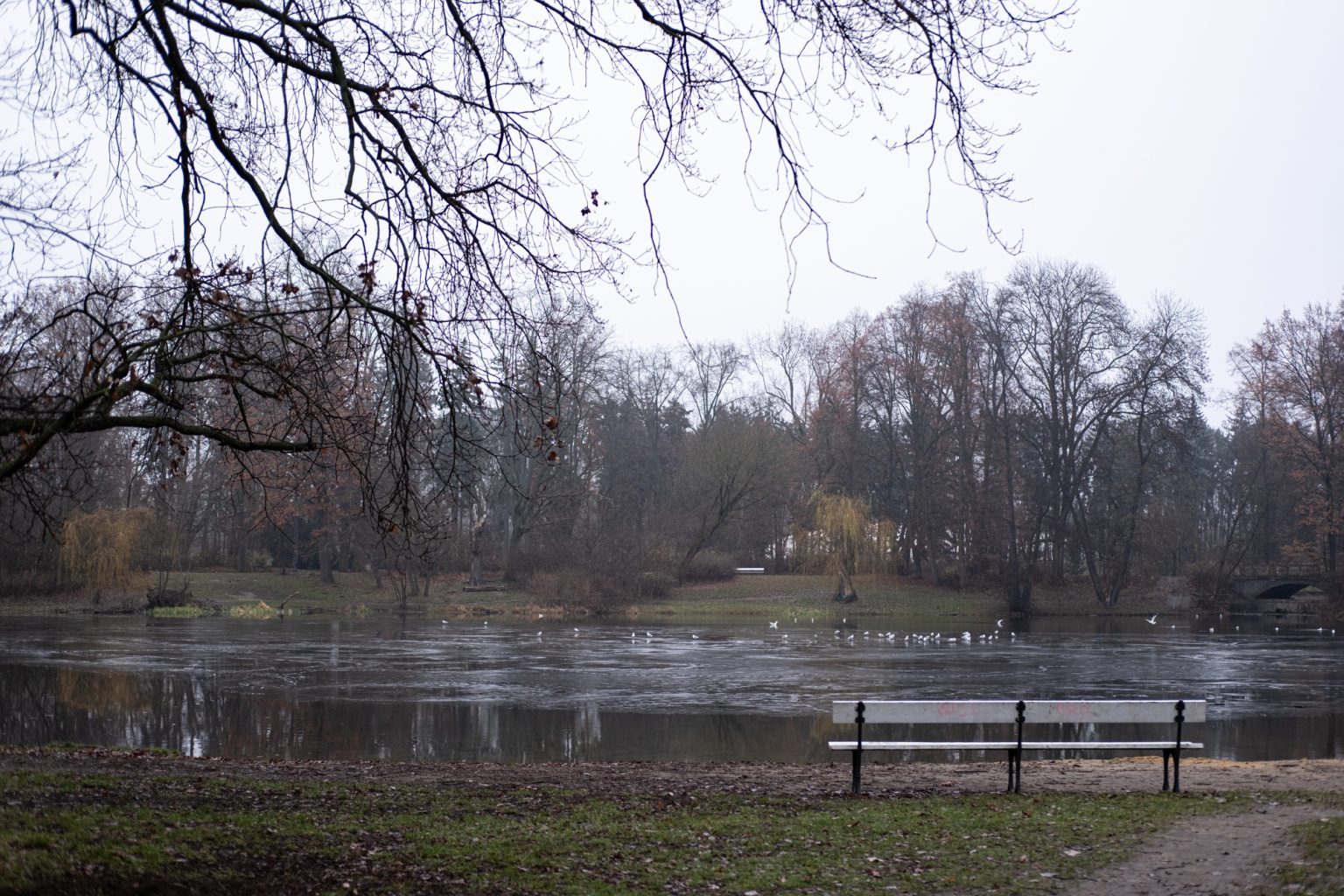 FujiFilm XF 35mm F2 R WR Fujinon 2000px