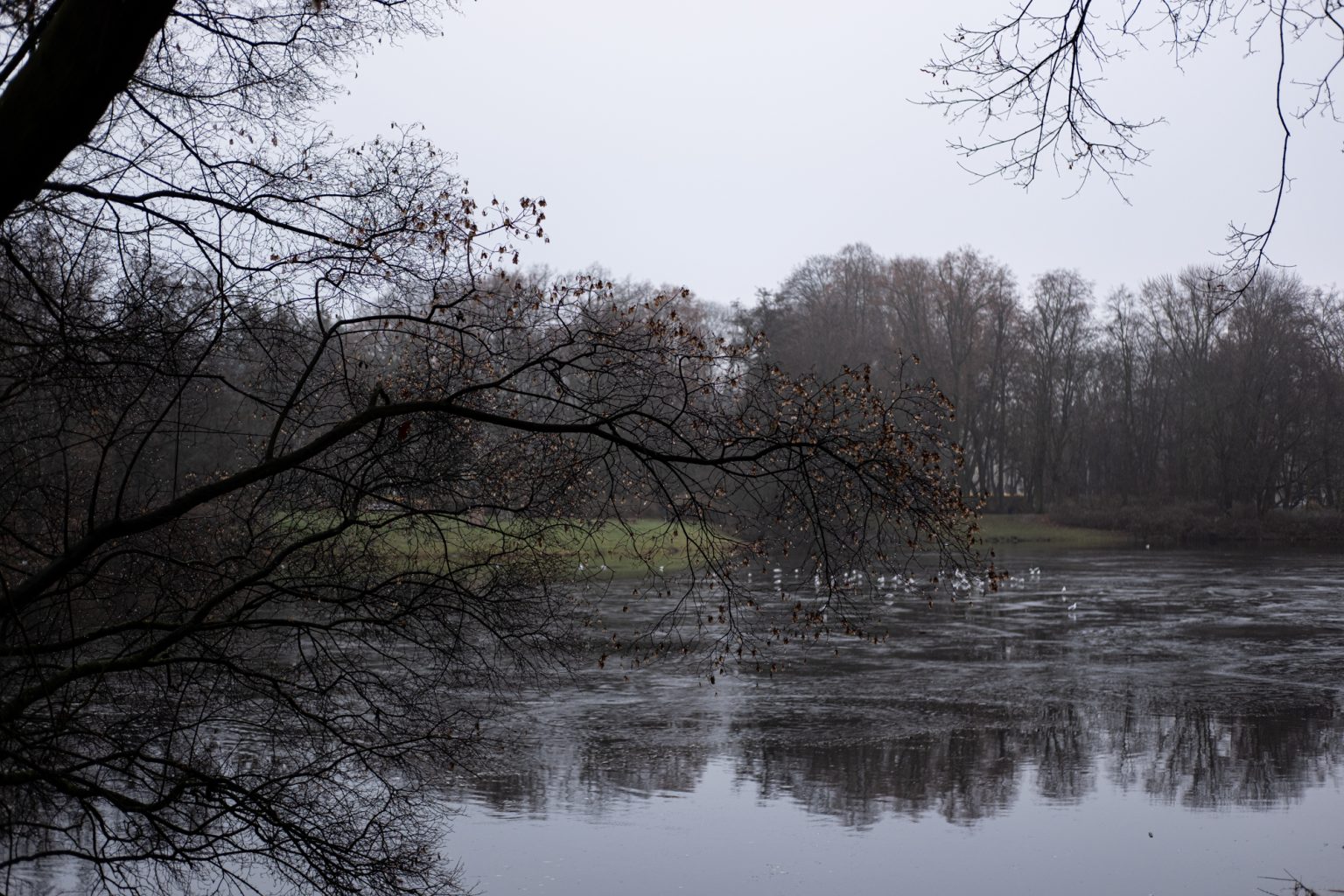 FujiFilm XF 35mm F2 R WR Fujinon 2000px