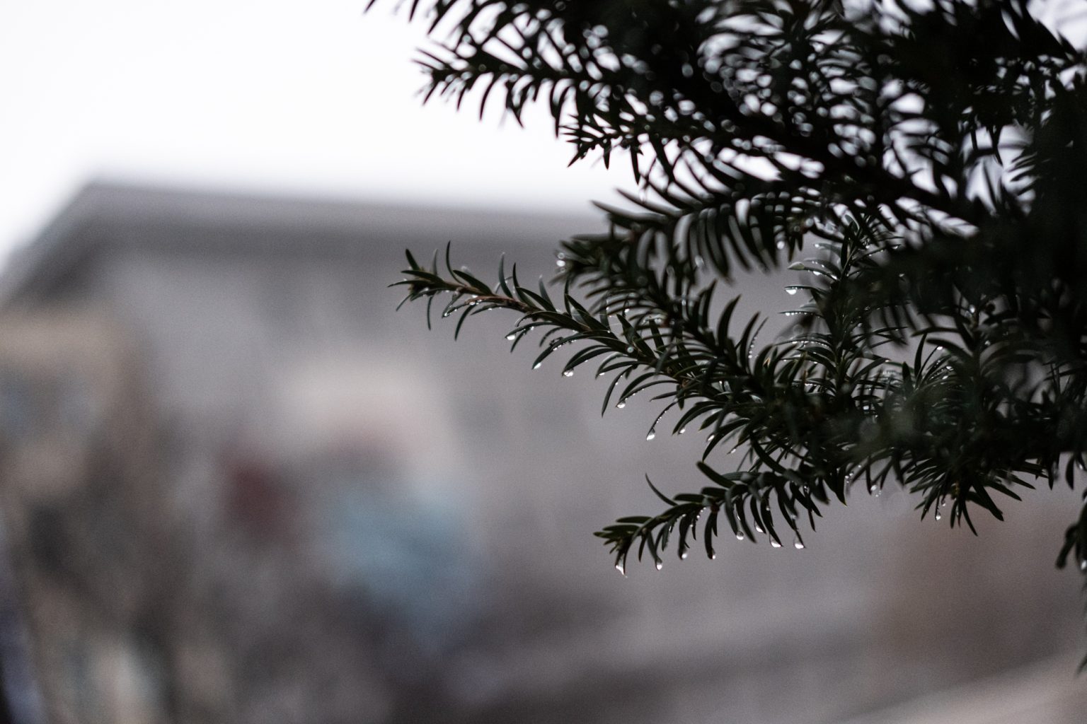 FujiFilm XF 35mm F2 R WR Fujinon 2000px