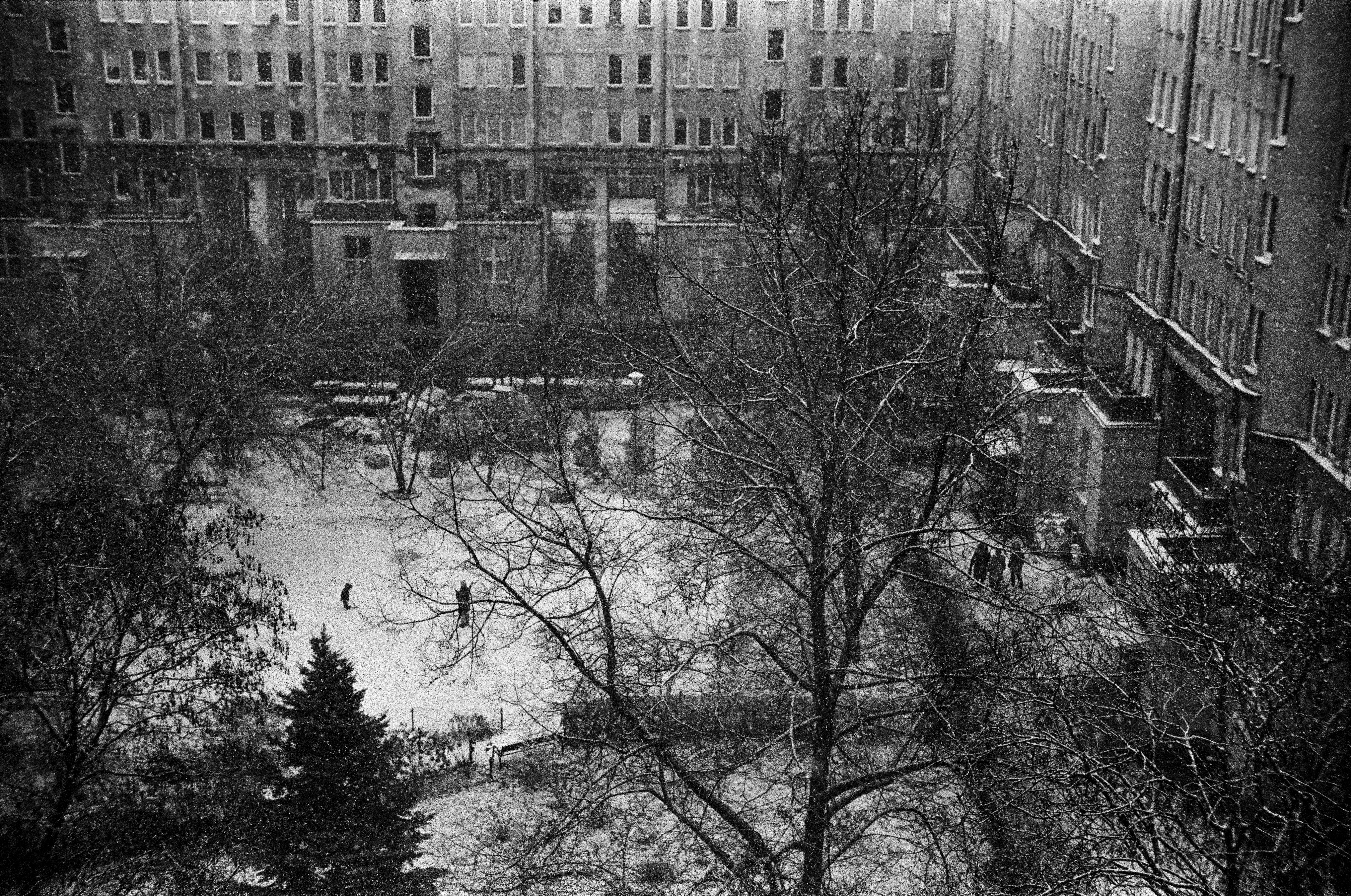 Leica M5 TTArtisan 50mm F0.95 Ilford HP5