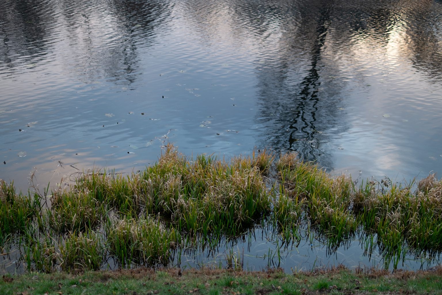 Galeria zdjęć 2000px z aparatu Fujifilm X-Pro1 i obiektywu Sigma C 30mm F1.4 DC DN Galeria zdjęć 2000px z aparatu Fujifilm X-Pro1 i obiektywu Sigma C 30mm F1.4 DC DN