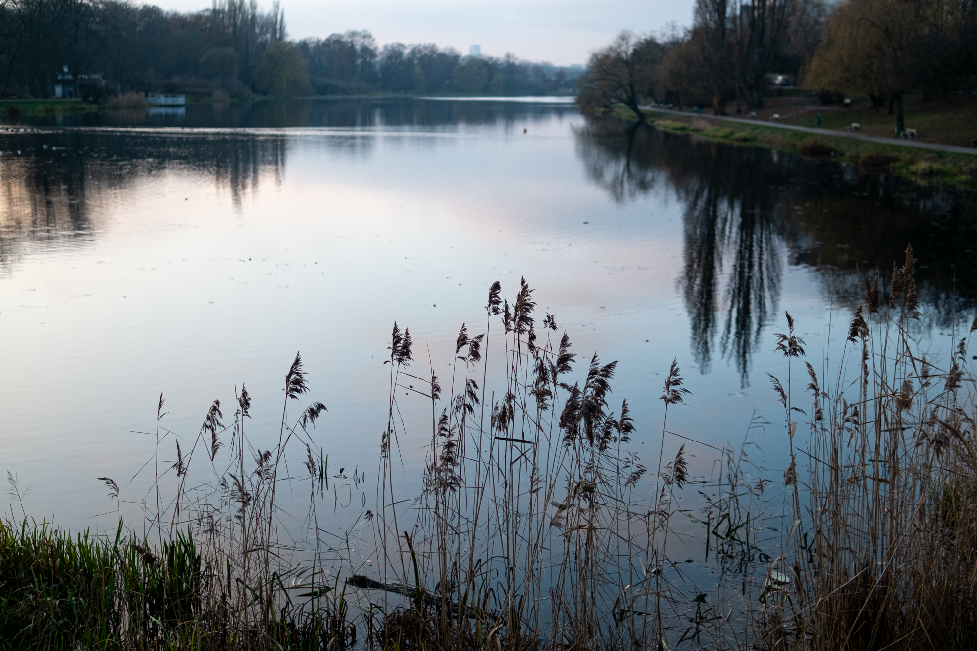 Sigma C 30mm F1.4 DC DN FujiFilm X Pro1