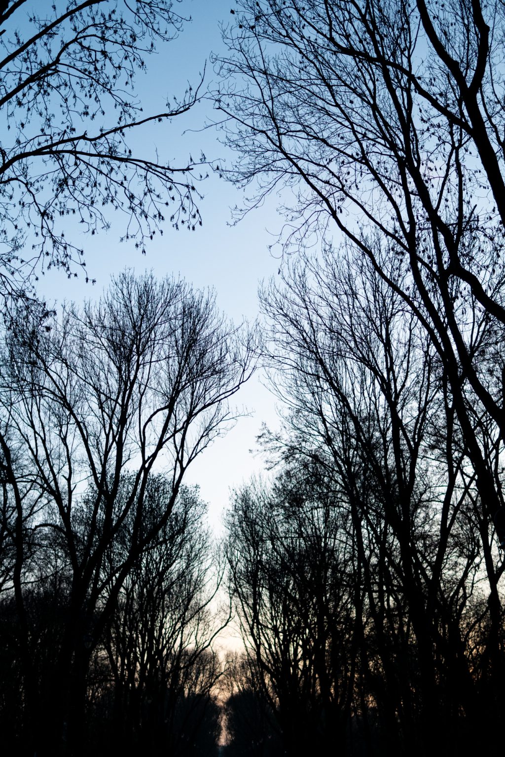 Galeria zdjęć 2000px z aparatu Fujifilm X-Pro1 i obiektywu Sigma C 30mm F1.4 DC DN Galeria zdjęć 2000px z aparatu Fujifilm X-Pro1 i obiektywu Sigma C 30mm F1.4 DC DN