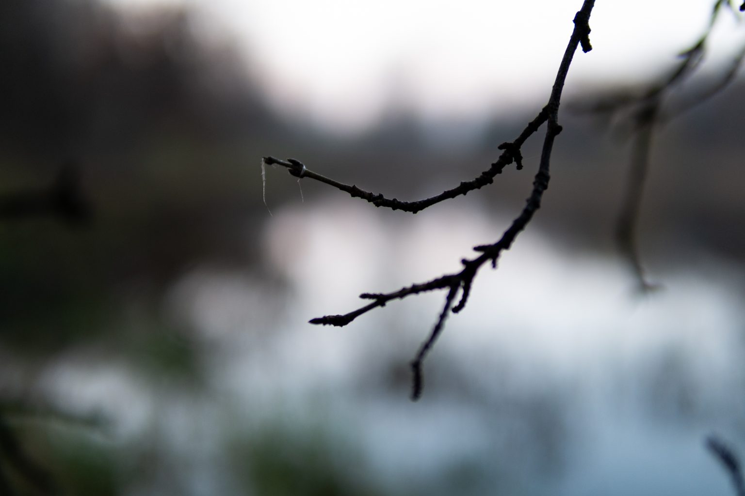 Galeria zdjęć 2000px z aparatu Fujifilm X-Pro1 i obiektywu Sigma C 30mm F1.4 DC DN Galeria zdjęć 2000px z aparatu Fujifilm X-Pro1 i obiektywu Sigma C 30mm F1.4 DC DN