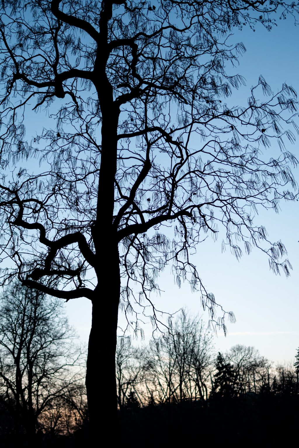 Galeria zdjęć 2000px z aparatu Fujifilm X-Pro1 i obiektywu Sigma C 30mm F1.4 DC DN Galeria zdjęć 2000px z aparatu Fujifilm X-Pro1 i obiektywu Sigma C 30mm F1.4 DC DN