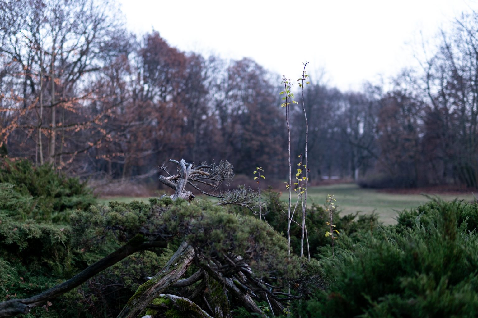 Galeria zdjęć 2000px z aparatu Fujifilm X-Pro1 i obiektywu Sigma C 30mm F1.4 DC DN Galeria zdjęć 2000px z aparatu Fujifilm X-Pro1 i obiektywu Sigma C 30mm F1.4 DC DN