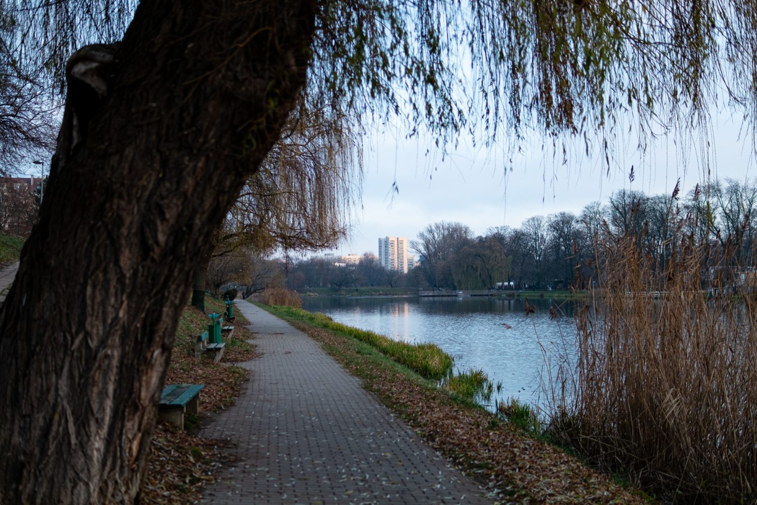 Galeria zdjęć 2000px z aparatu Fujifilm X-Pro1 i obiektywu Sigma C 30mm F1.4 DC DN Galeria zdjęć 2000px z aparatu Fujifilm X-Pro1 i obiektywu Sigma C 30mm F1.4 DC DN