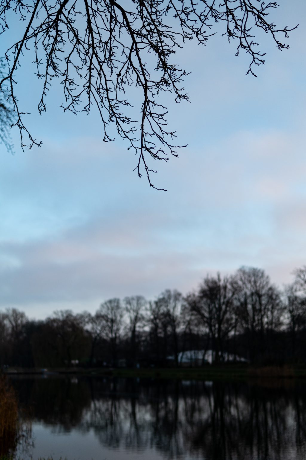 Galeria zdjęć 2000px z aparatu Fujifilm X-Pro1 i obiektywu Sigma C 30mm F1.4 DC DN Galeria zdjęć 2000px z aparatu Fujifilm X-Pro1 i obiektywu Sigma C 30mm F1.4 DC DN