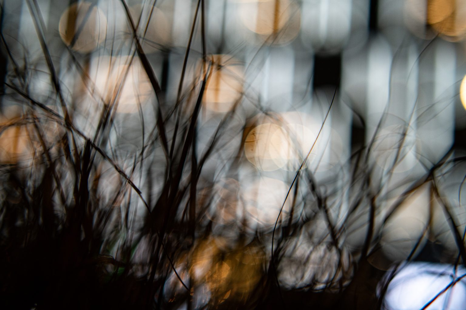 Galeria zdjęć przykładowych 2000px wykonana za pomocą obiektywu TTArtisan 50mm T2.1 Cine Soft-Bubble i aparatu Sony A7R IV