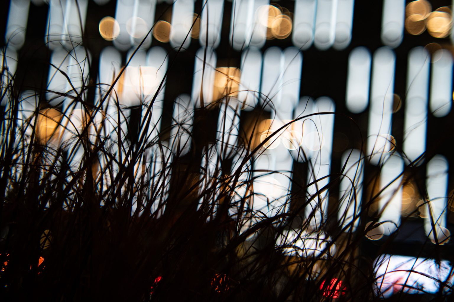 Galeria zdjęć przykładowych 2000px wykonana za pomocą obiektywu TTArtisan 50mm T2.1 Cine Soft-Bubble i aparatu Sony A7R IV