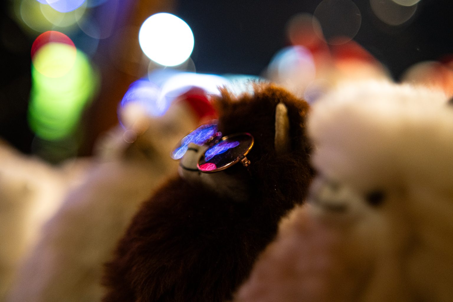 Galeria zdjęć przykładowych 2000px wykonana za pomocą obiektywu TTArtisan 50mm T2.1 Cine Soft-Bubble i aparatu Sony A7R IV