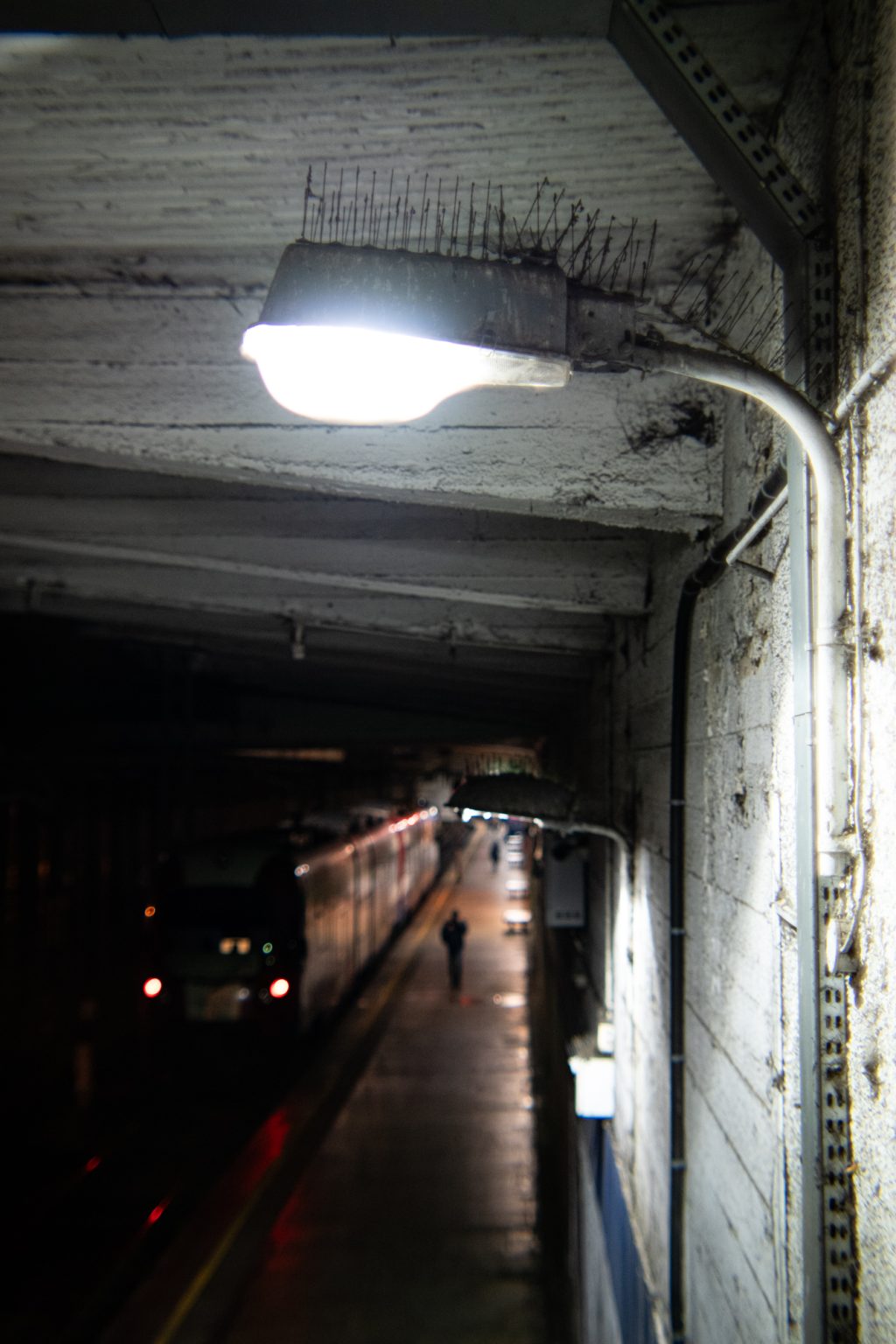 Galeria zdjęć przykładowych 2000px wykonana za pomocą obiektywu TTArtisan 50mm T2.1 Cine Soft-Bubble i aparatu Sony A7R IV