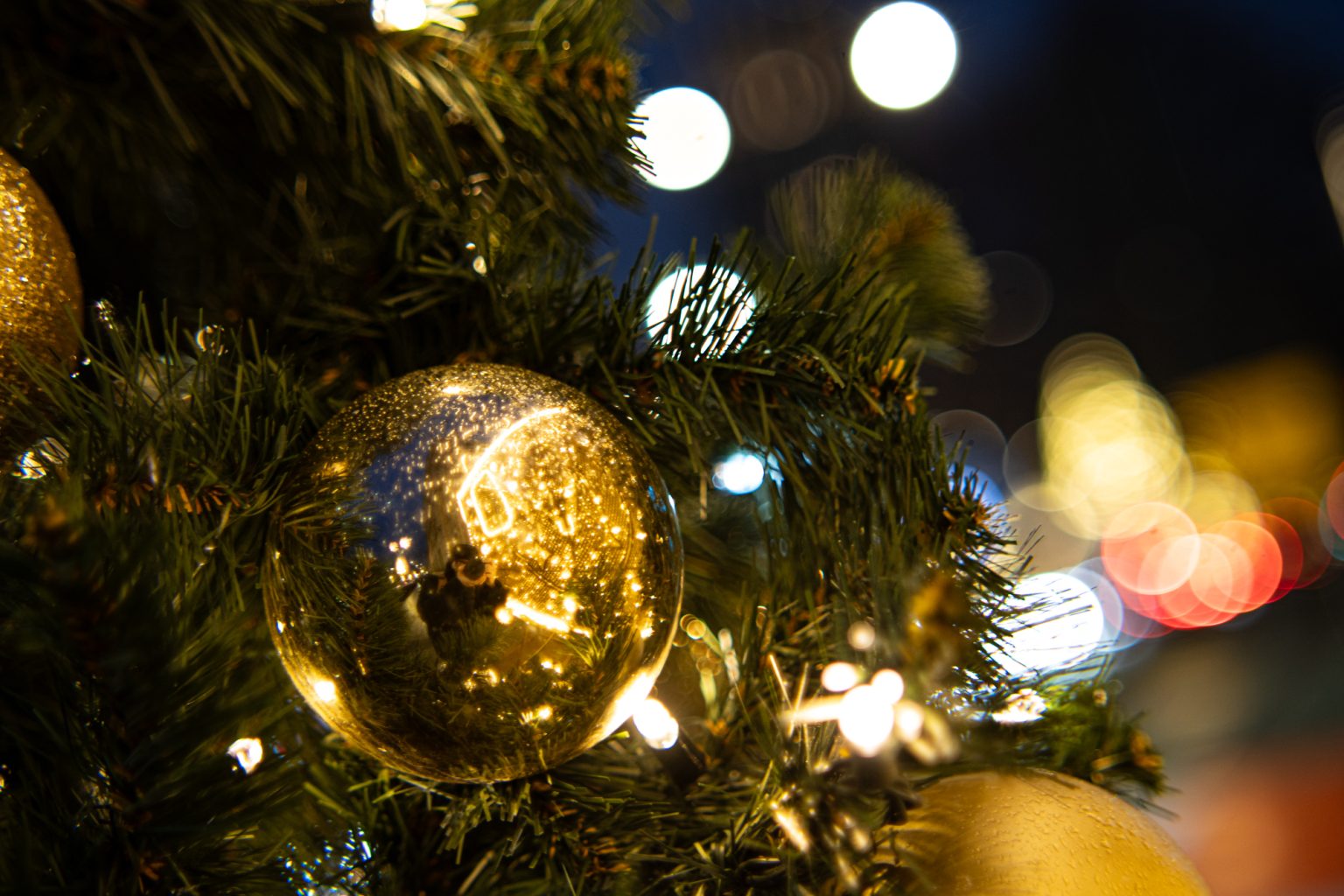 Galeria zdjęć przykładowych 2000px wykonana za pomocą obiektywu TTArtisan 50mm T2.1 Cine Soft-Bubble i aparatu Sony A7R IV