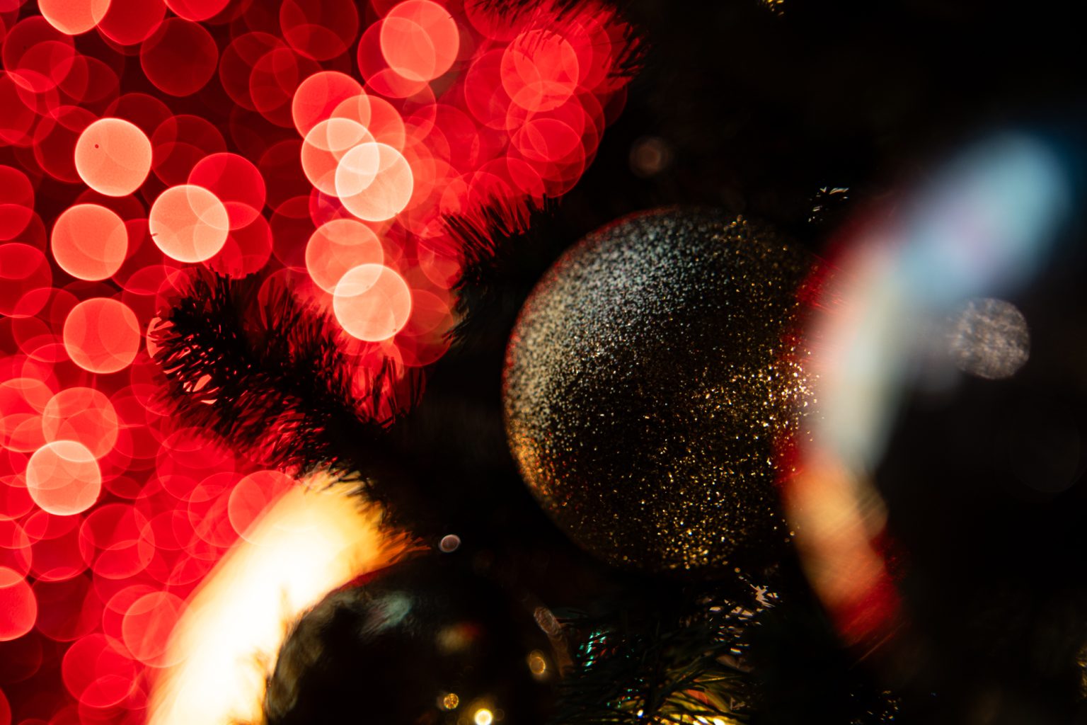 Galeria zdjęć przykładowych 2000px wykonana za pomocą obiektywu TTArtisan 50mm T2.1 Cine Soft-Bubble i aparatu Sony A7R IV