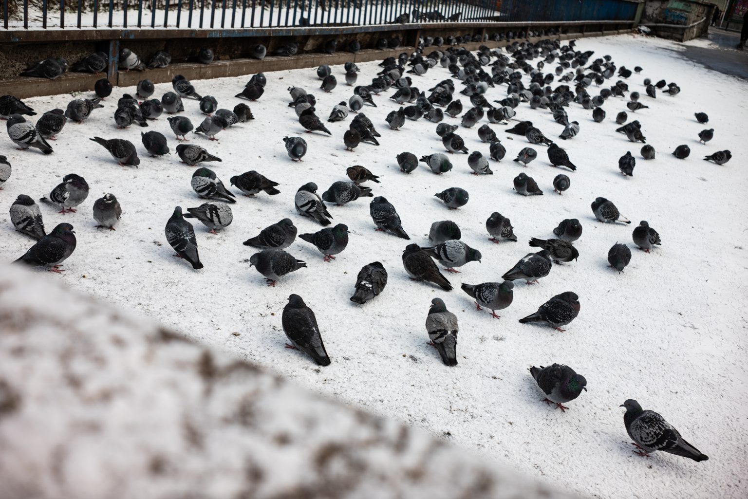 Galeria zdjęć przykładowych 2000px wykonana za pomocą obiektywu TTArtisan AF 40mm F2 ED ASPH i aparatu Nikon Z5 Galeria zdjęć przykładowych 2000px wykonana za pomocą obiektywu TTArtisan AF 40mm F2 ED ASPH i aparatu Nikon Z5