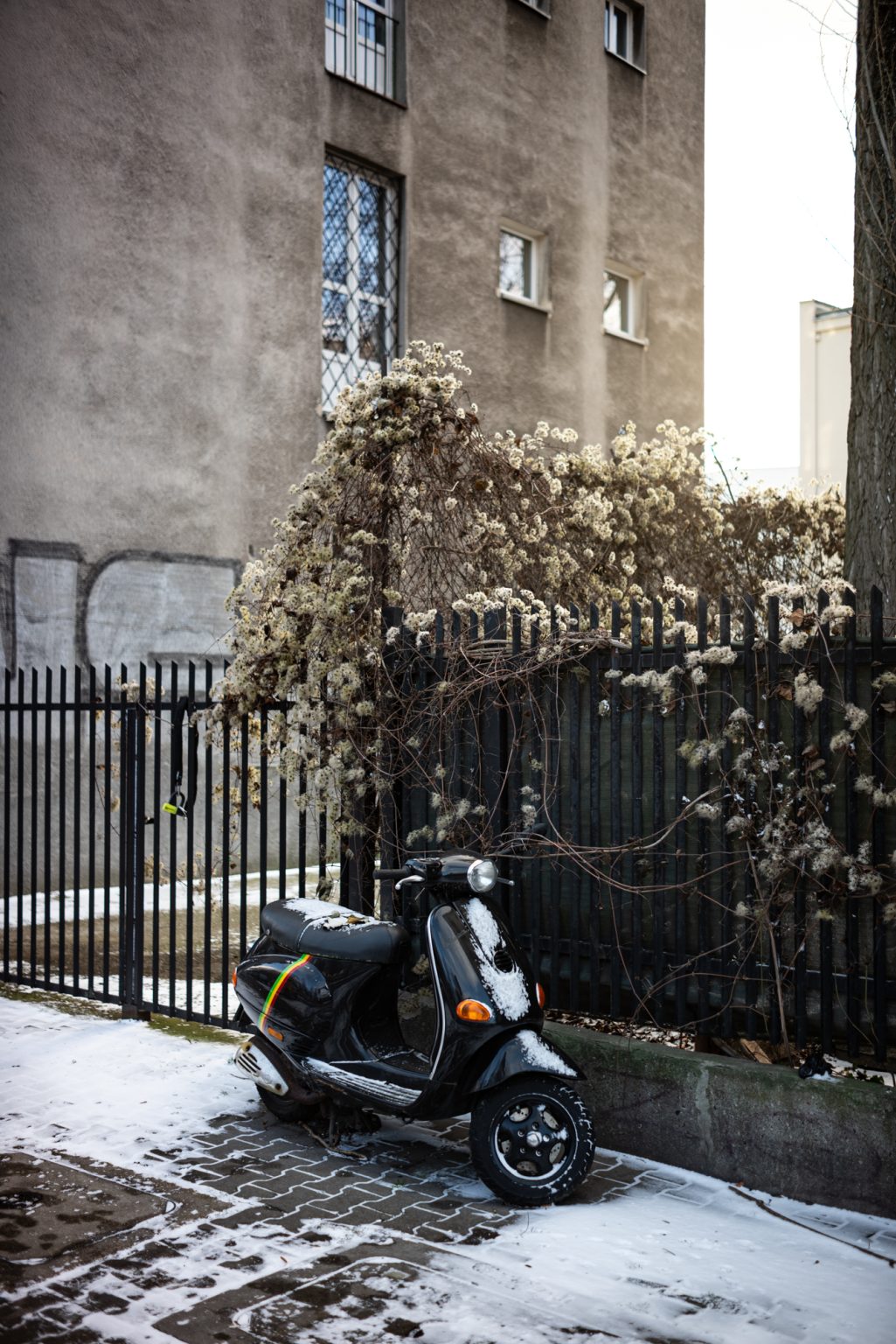 Galeria zdjęć przykładowych 2000px wykonana za pomocą obiektywu TTArtisan AF 40mm F2 ED ASPH i aparatu Nikon Z5 Galeria zdjęć przykładowych 2000px wykonana za pomocą obiektywu TTArtisan AF 40mm F2 ED ASPH i aparatu Nikon Z5