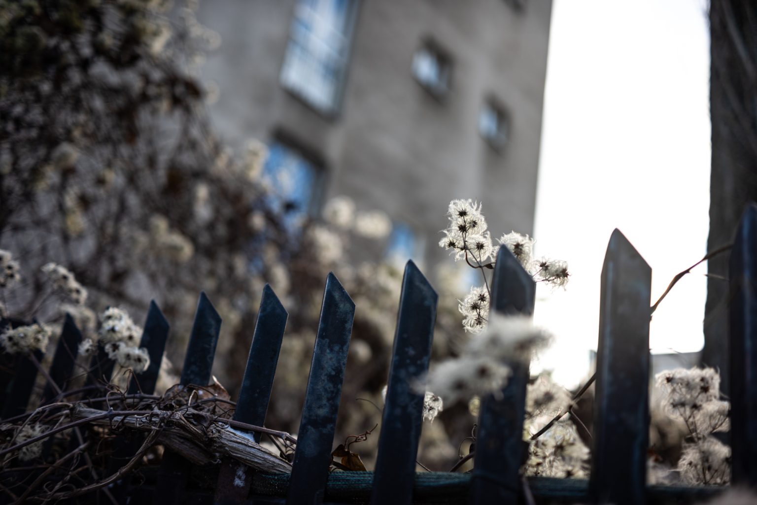 Galeria zdjęć przykładowych 2000px wykonana za pomocą obiektywu TTArtisan AF 40mm F2 ED ASPH i aparatu Nikon Z5 Galeria zdjęć przykładowych 2000px wykonana za pomocą obiektywu TTArtisan AF 40mm F2 ED ASPH i aparatu Nikon Z5