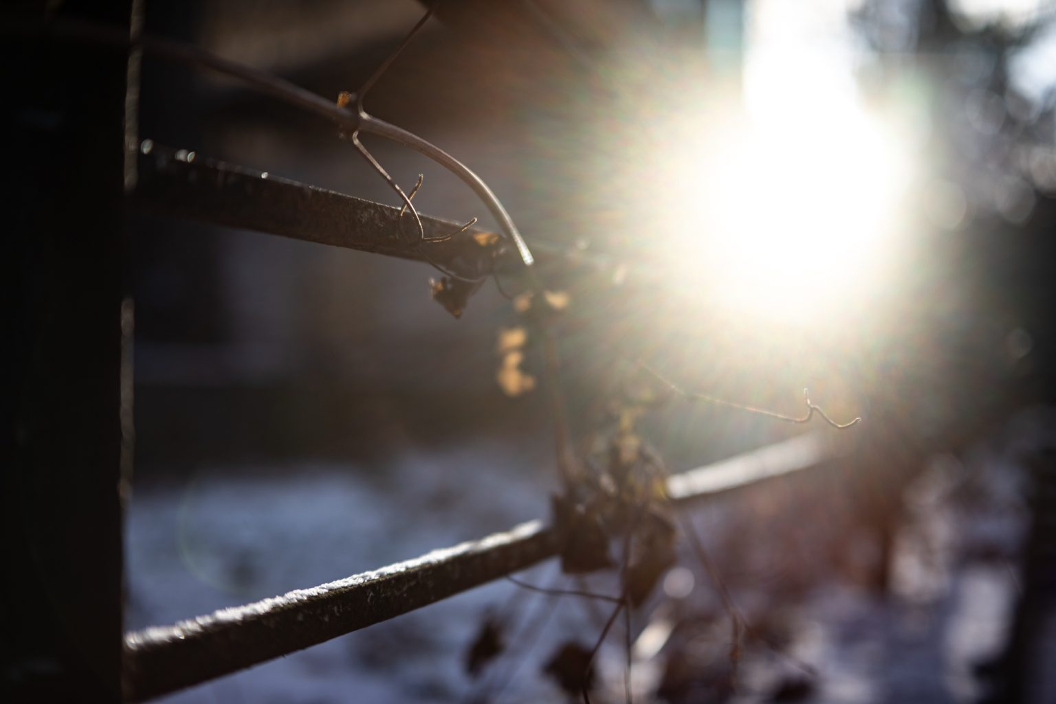 Galeria zdjęć przykładowych 2000px wykonana za pomocą obiektywu TTArtisan AF 40mm F2 ED ASPH i aparatu Nikon Z5 Galeria zdjęć przykładowych 2000px wykonana za pomocą obiektywu TTArtisan AF 40mm F2 ED ASPH i aparatu Nikon Z5