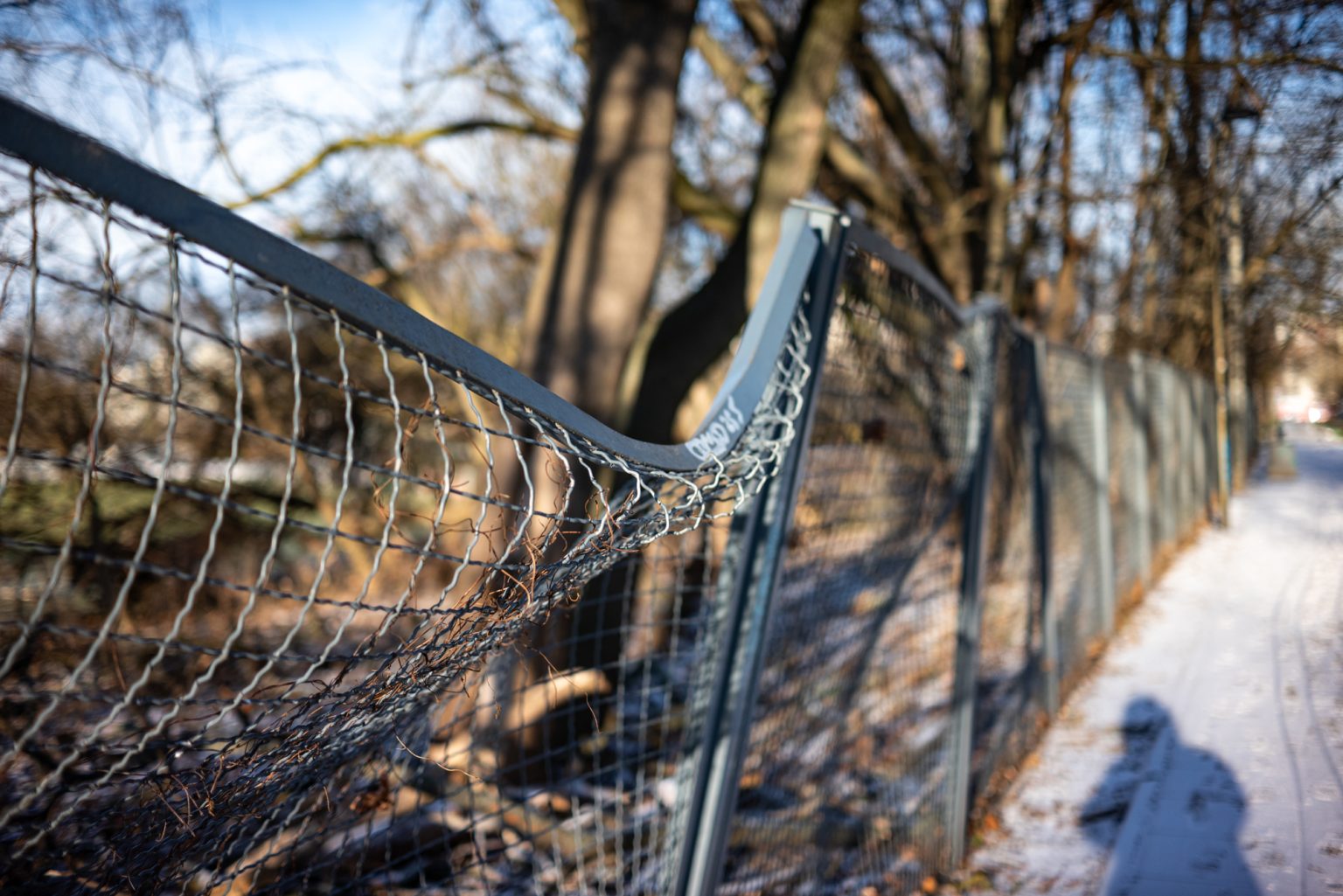 Galeria zdjęć przykładowych 2000px wykonana za pomocą obiektywu TTArtisan AF 40mm F2 ED ASPH i aparatu Nikon Z5 Galeria zdjęć przykładowych 2000px wykonana za pomocą obiektywu TTArtisan AF 40mm F2 ED ASPH i aparatu Nikon Z5