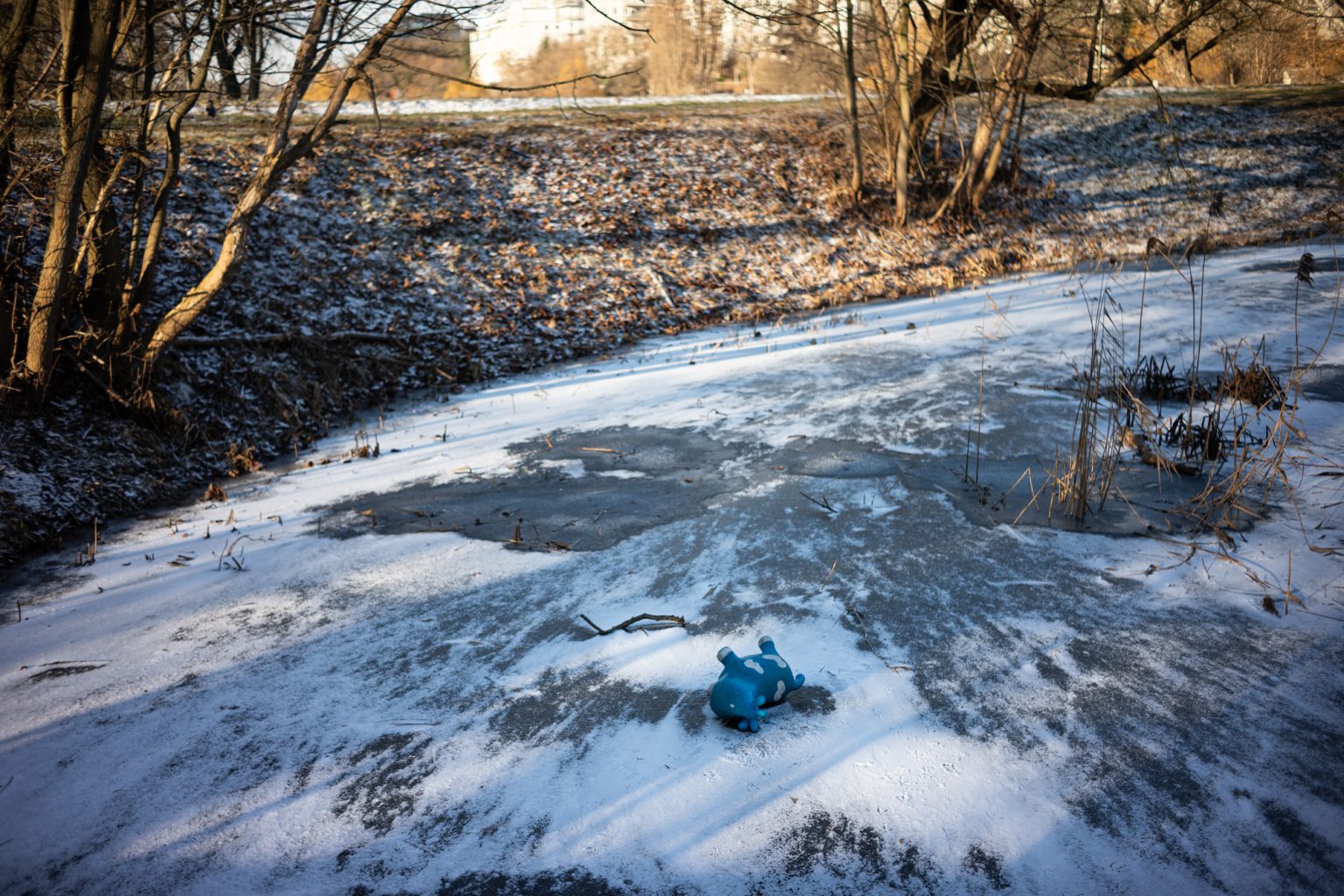 Galeria zdjęć przykładowych 2000px wykonana za pomocą obiektywu TTArtisan AF 40mm F2 ED ASPH i aparatu Nikon Z5 Galeria zdjęć przykładowych 2000px wykonana za pomocą obiektywu TTArtisan AF 40mm F2 ED ASPH i aparatu Nikon Z5