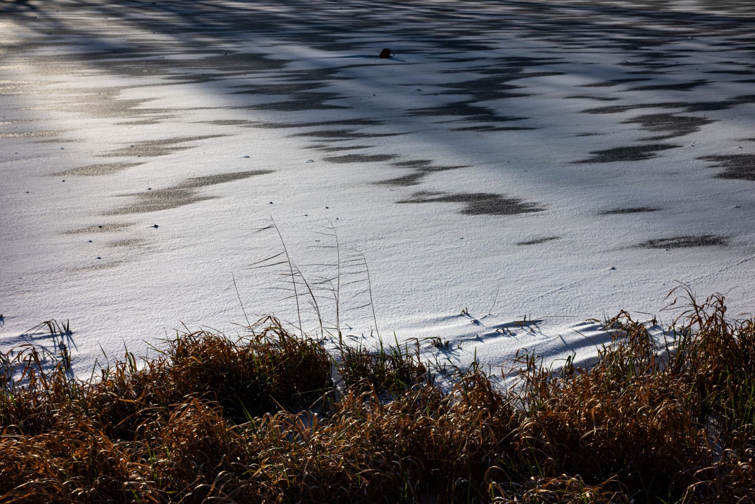 Galeria zdjęć przykładowych 2000px wykonana za pomocą obiektywu TTArtisan AF 40mm F2 ED ASPH i aparatu Nikon Z5 Galeria zdjęć przykładowych 2000px wykonana za pomocą obiektywu TTArtisan AF 40mm F2 ED ASPH i aparatu Nikon Z5