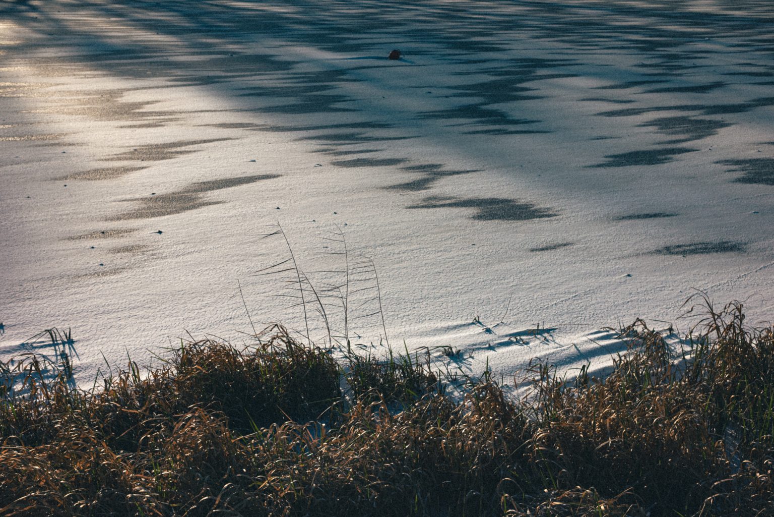 Galeria zdjęć przykładowych 2000px wykonana za pomocą obiektywu TTArtisan AF 40mm F2 ED ASPH i aparatu Nikon Z5 Galeria zdjęć przykładowych 2000px wykonana za pomocą obiektywu TTArtisan AF 40mm F2 ED ASPH i aparatu Nikon Z5