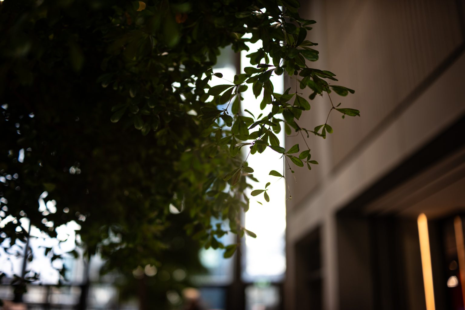 Galeria zdjęć przykładowych 2000px wykonana za pomocą obiektywu TTArtisan AF 40mm F2 ED ASPH i aparatu Nikon Z5 Galeria zdjęć przykładowych 2000px wykonana za pomocą obiektywu TTArtisan AF 40mm F2 ED ASPH i aparatu Nikon Z5