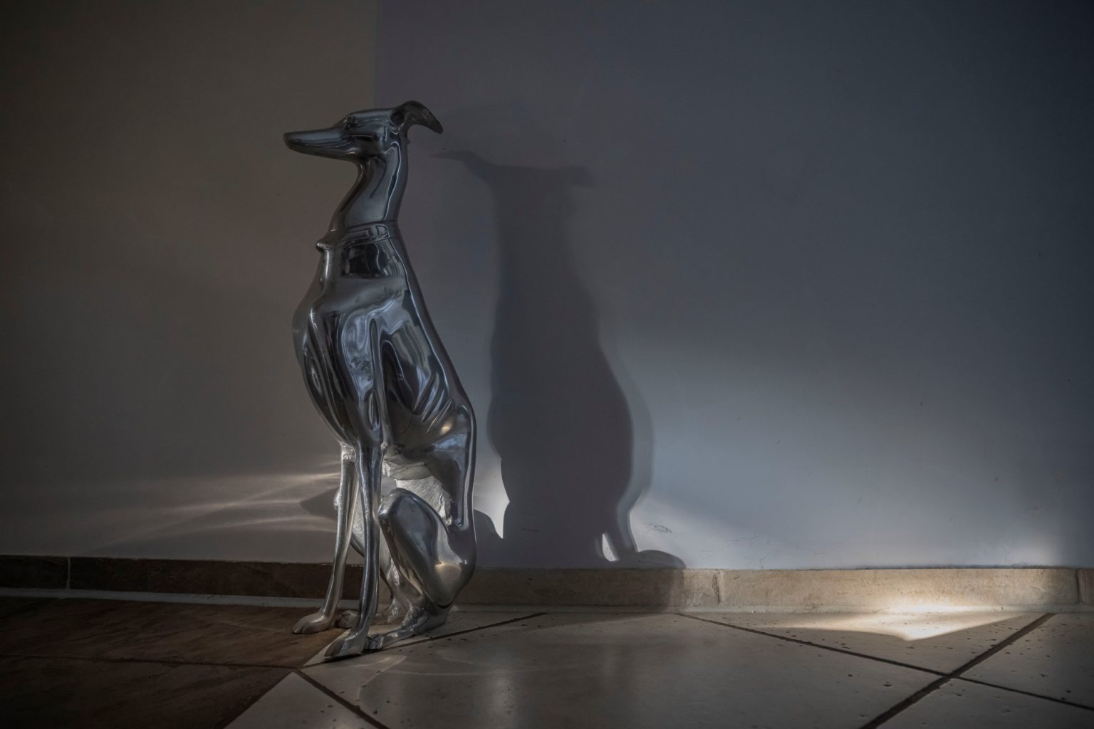 Batch Nikkor Z 24 70mm F2.8 S Nikon Z9 Dsc3544 Batch Nikkor Z 24 70mm F2.8 S Nikon Z9 dsc3544