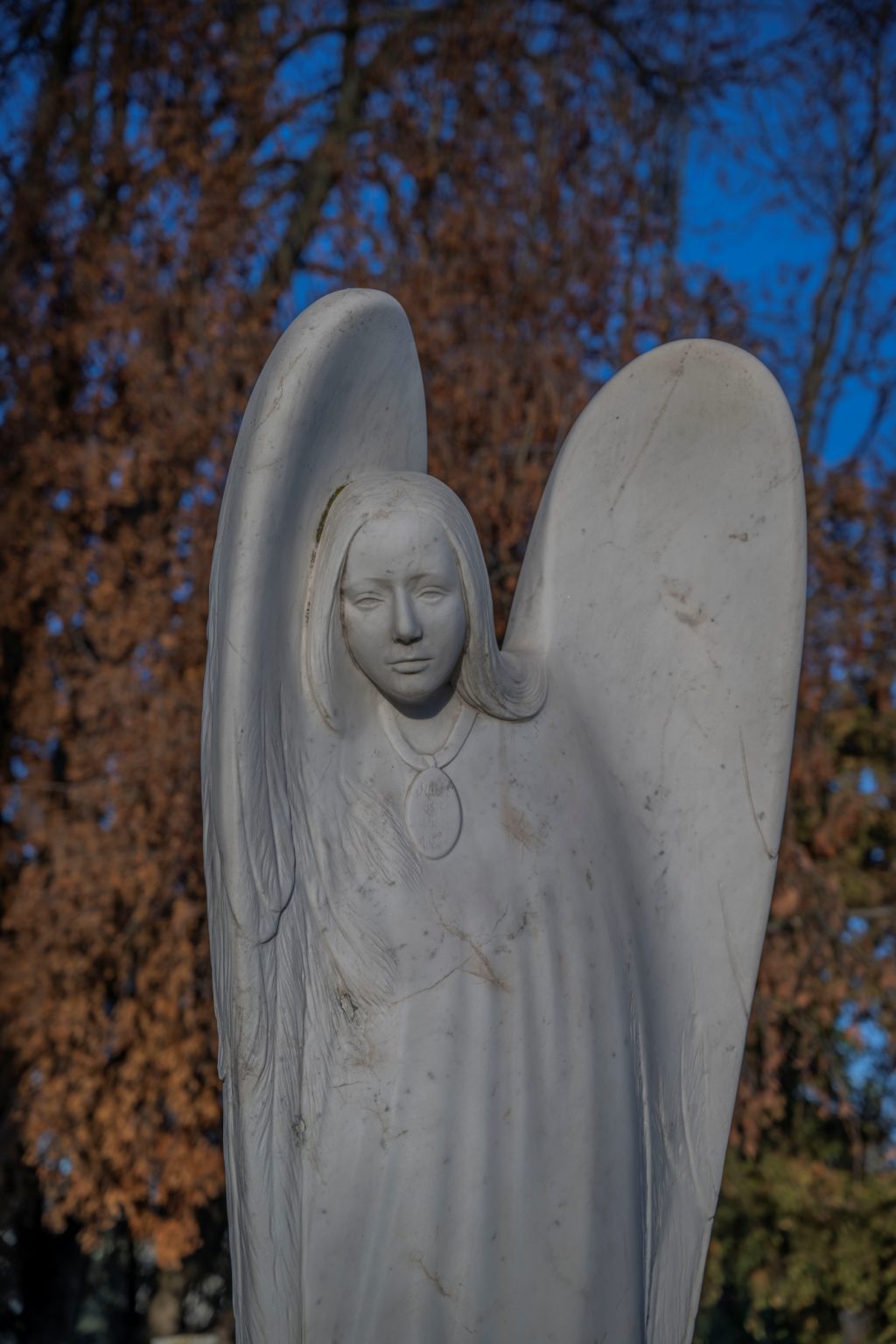 Batch Nikkor Z 24 70mm F2.8 S Nikon Z9 Dsc3587 Batch Nikkor Z 24 70mm F2.8 S Nikon Z9 dsc3587