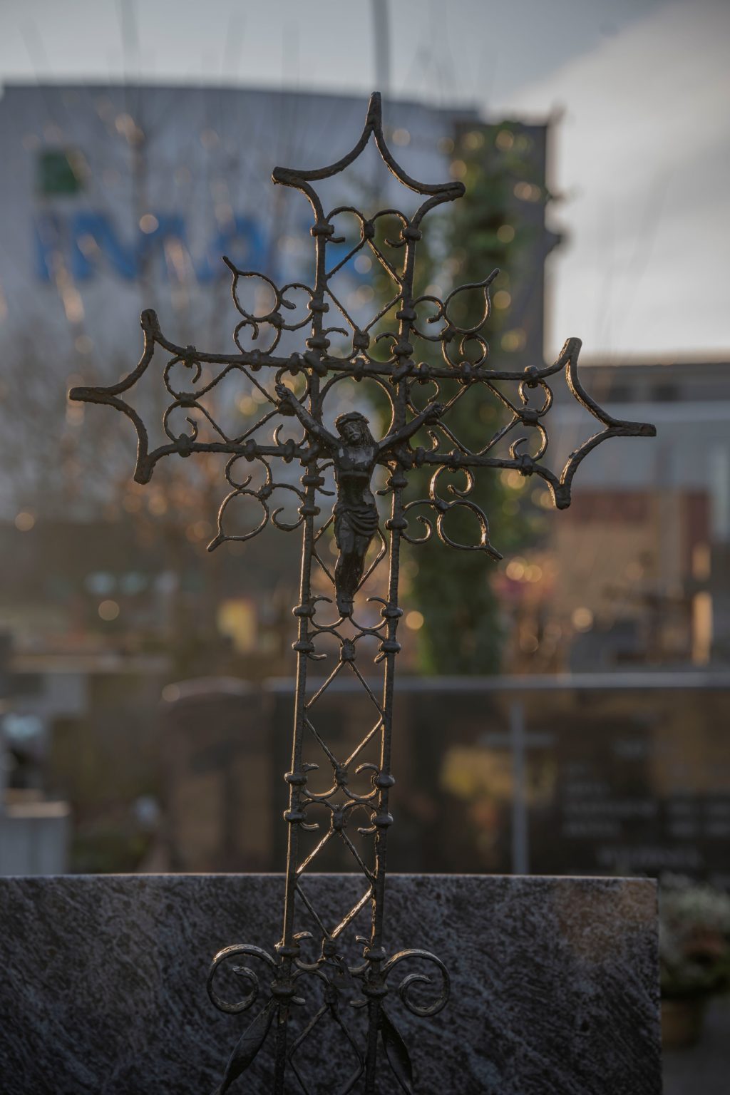 Batch Nikkor Z 24 70mm F2.8 S Nikon Z9 Dsc3591 Batch Nikkor Z 24 70mm F2.8 S Nikon Z9 dsc3591