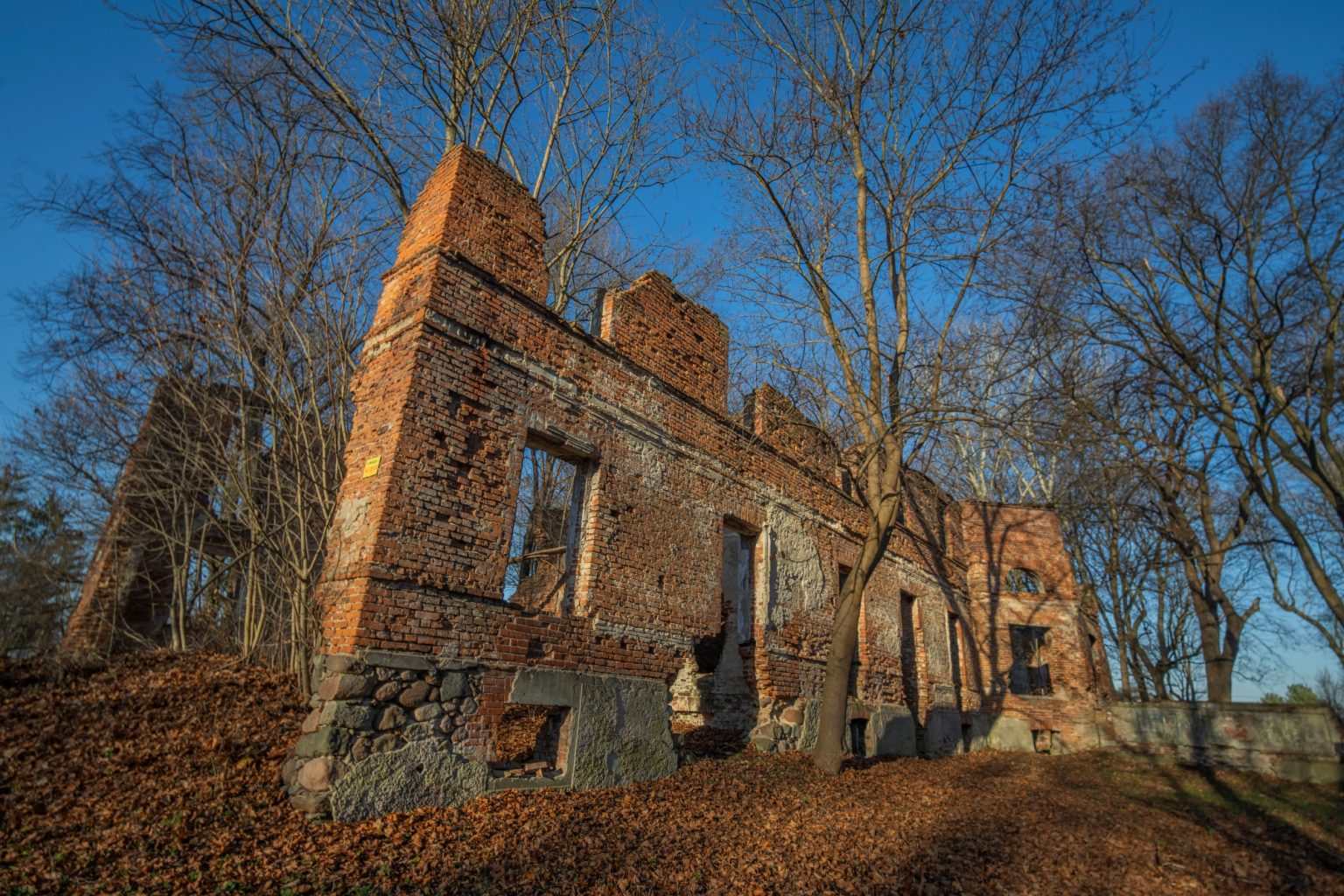 Batch TTArtisan 17mm F4 Tilt Shift Dsc1028 Batch TTArtisan 17mm F4 Tilt Shift dsc1028