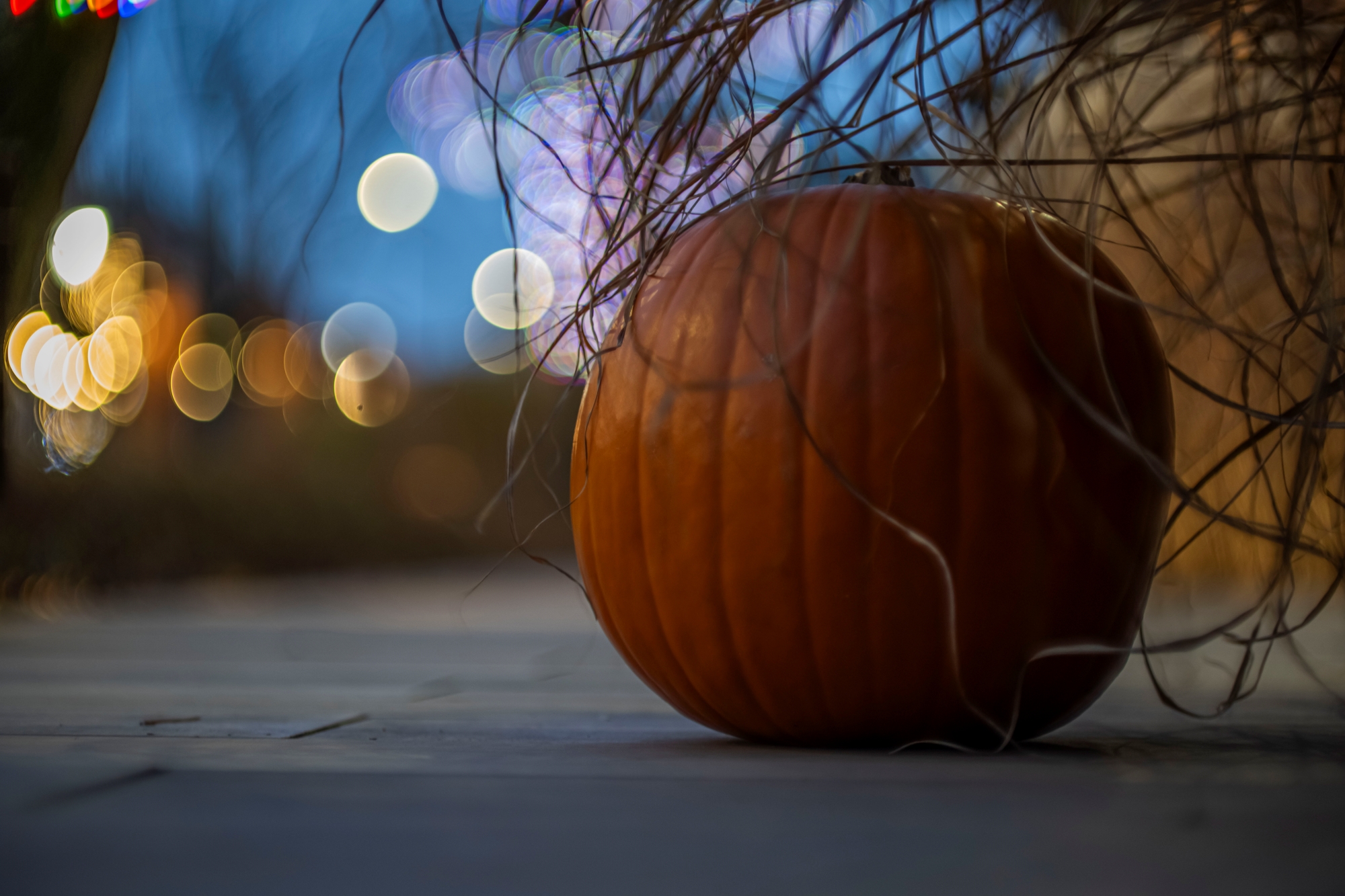 ttartisan-85mm-t21-cine-soft-bubble-nikon-z-test 2