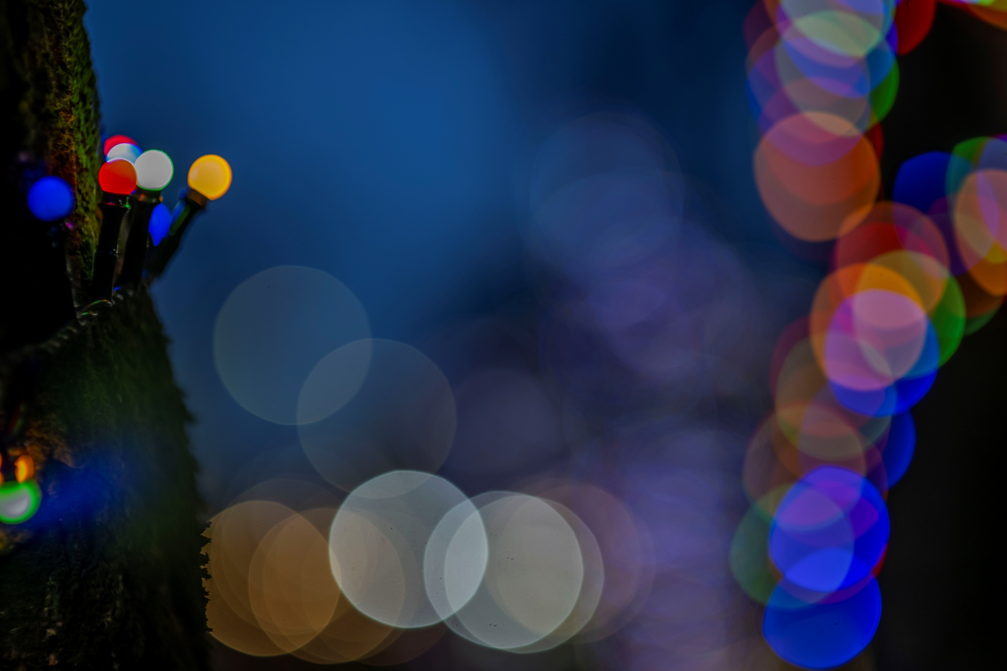 ttartisan-85mm-t21-cine-soft-bubble-nikon-z-test 8