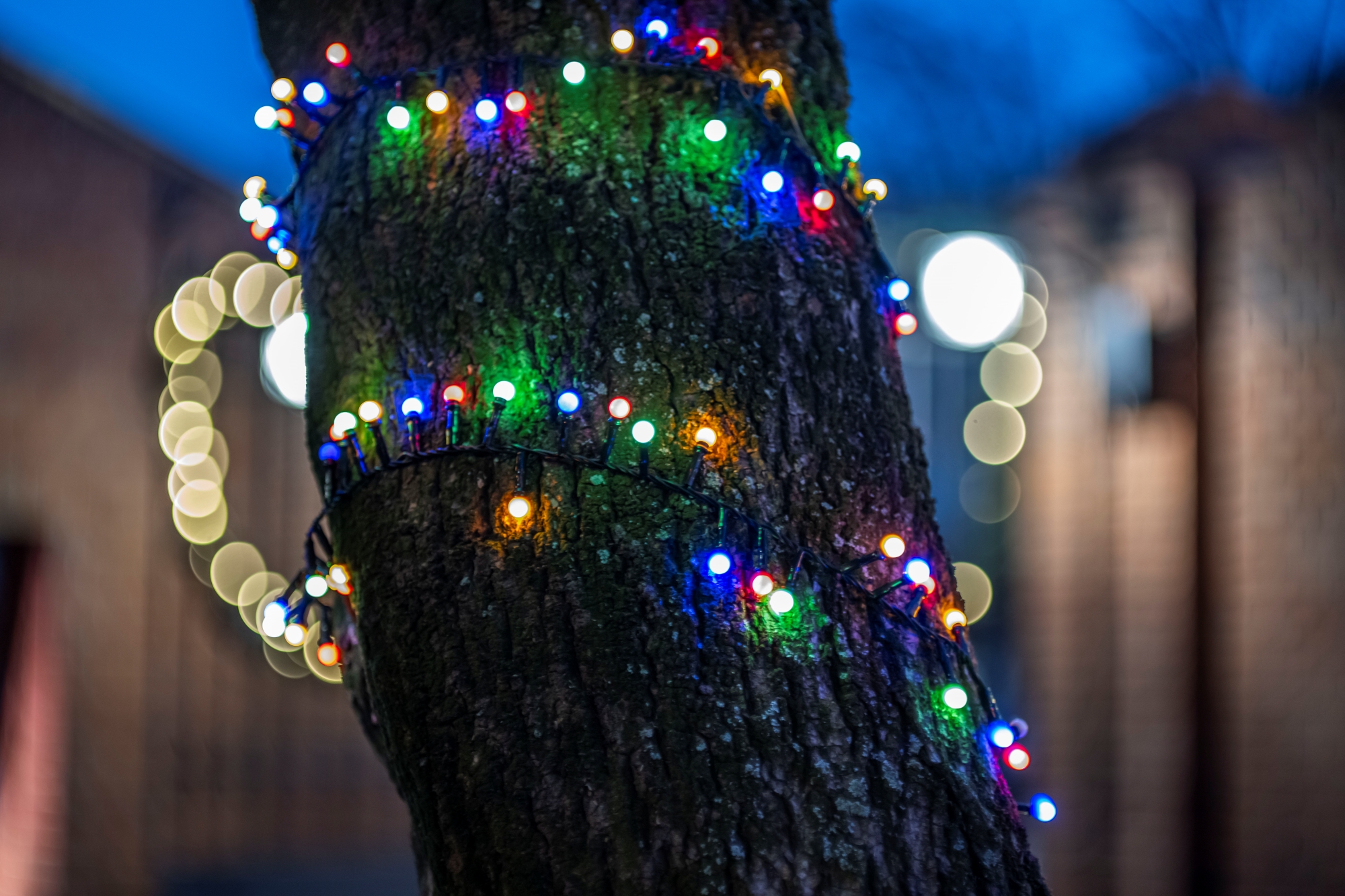 ttartisan-85mm-t21-cine-soft-bubble-nikon-z-test 11