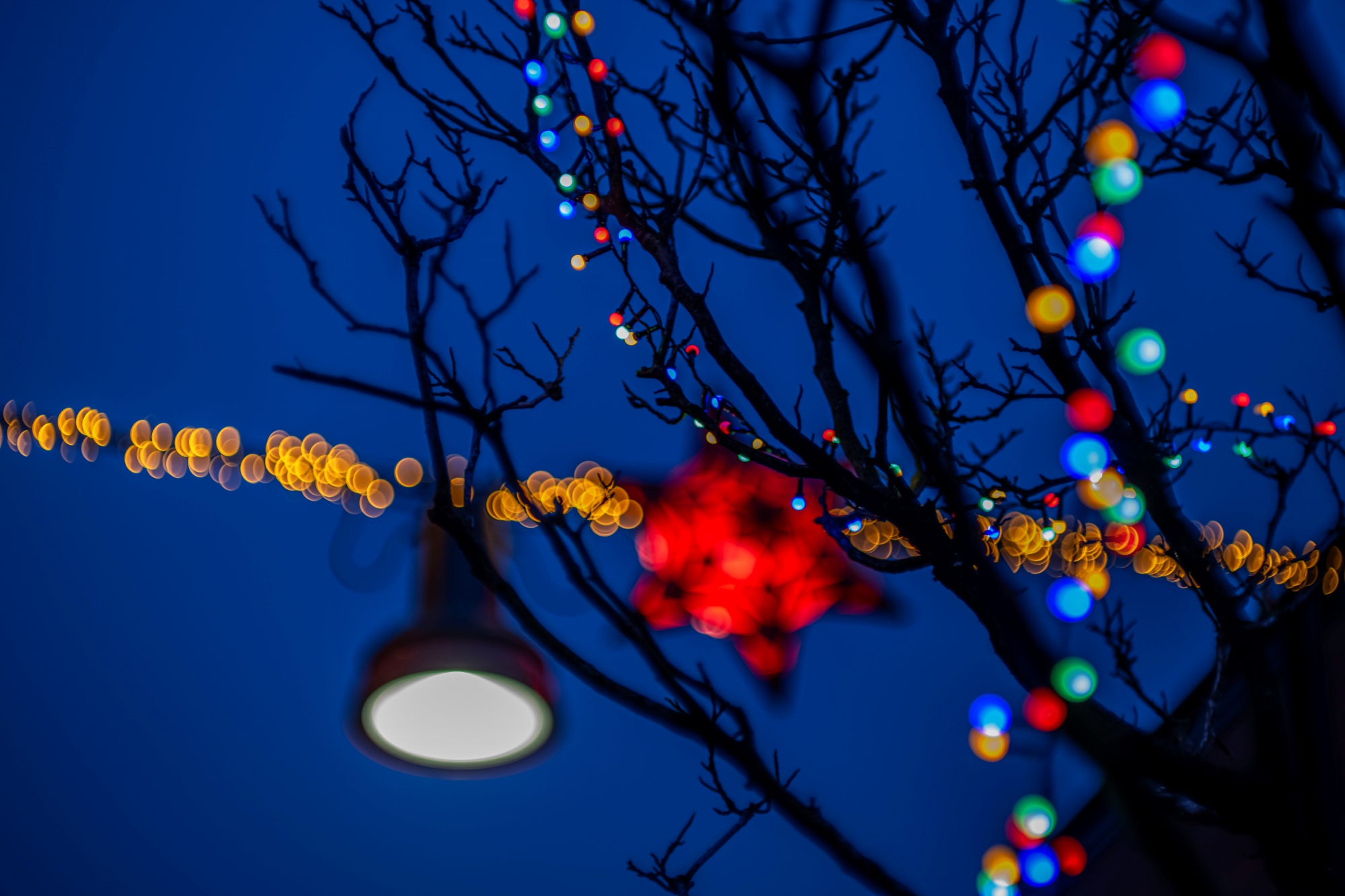 ttartisan-85mm-t21-cine-soft-bubble-nikon-z-test 10