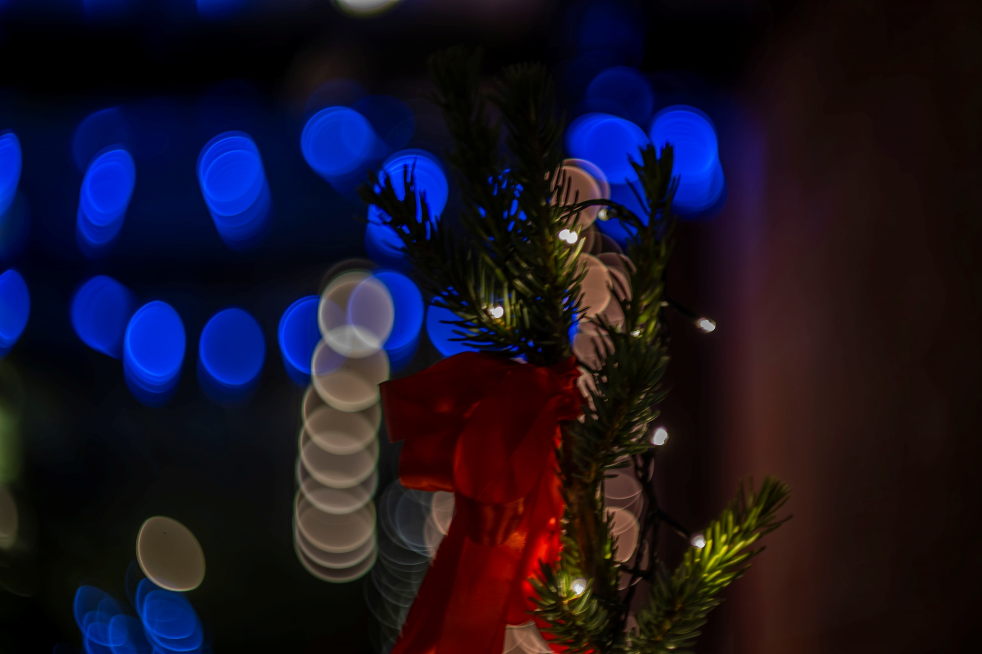 ttartisan-85mm-t21-cine-soft-bubble-nikon-z-test 6