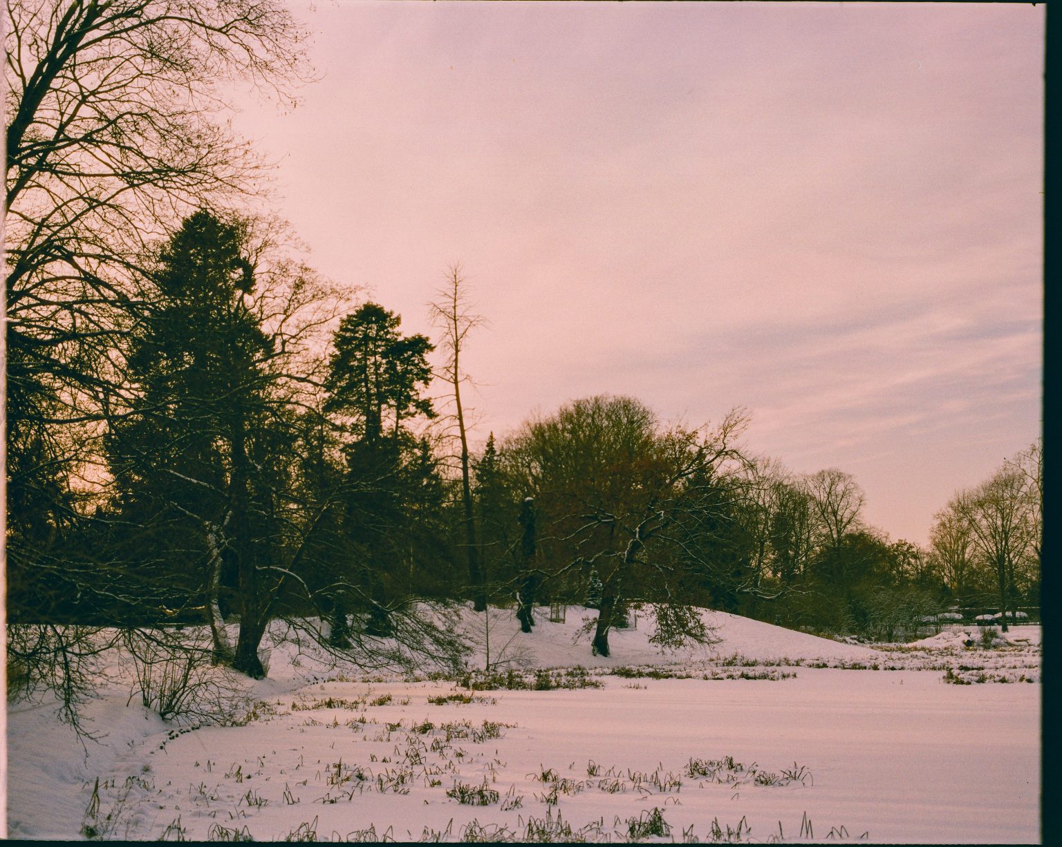 Galeria zdjęć przykładowych 1:1 wykonanych za pomocą aparatu Mamiya RB67 na filmie  Harman Phoenix II 200/120