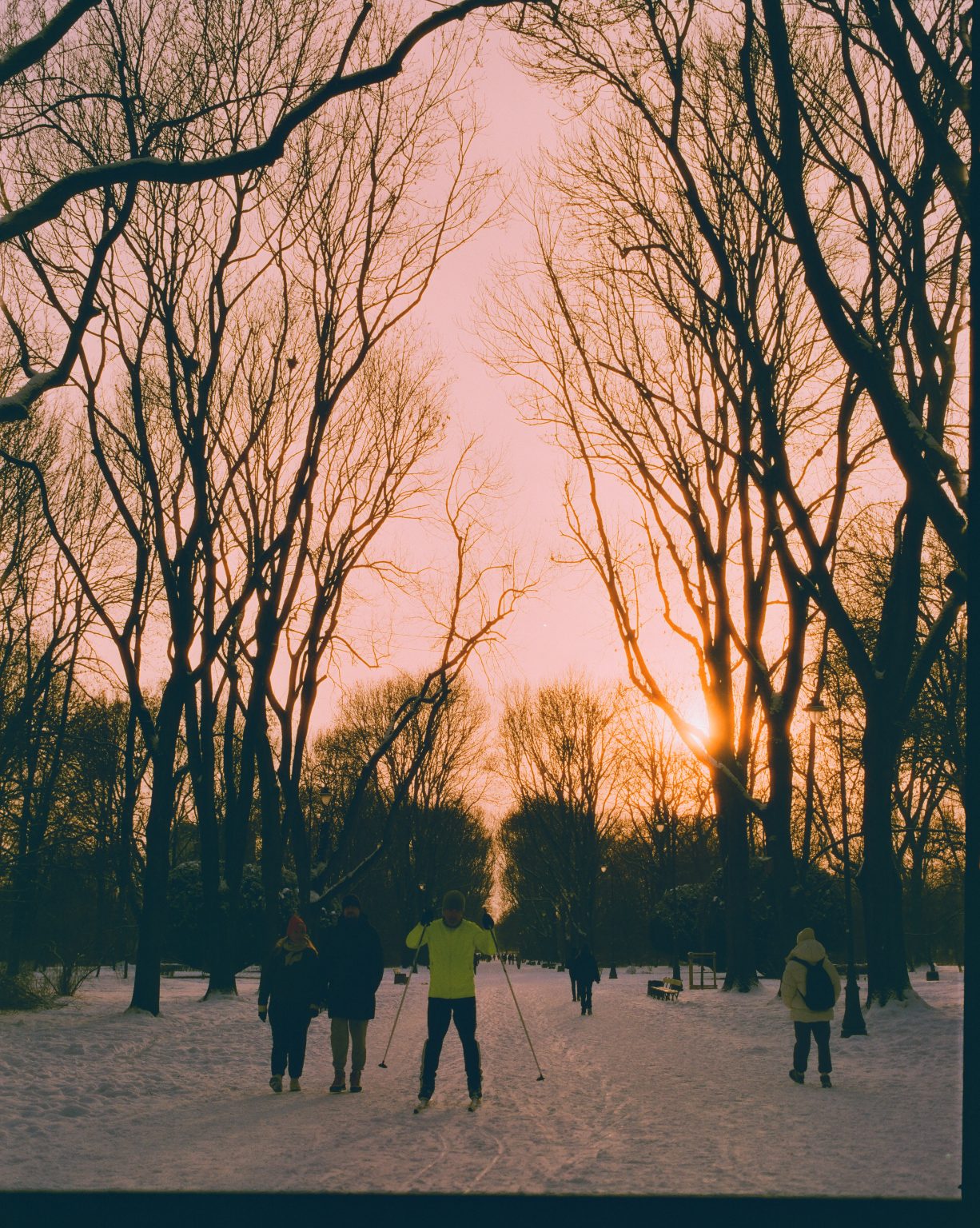 Galeria zdjęć przykładowych 1:1 wykonanych za pomocą aparatu Mamiya RB67 na filmie  Harman Phoenix II 200/120