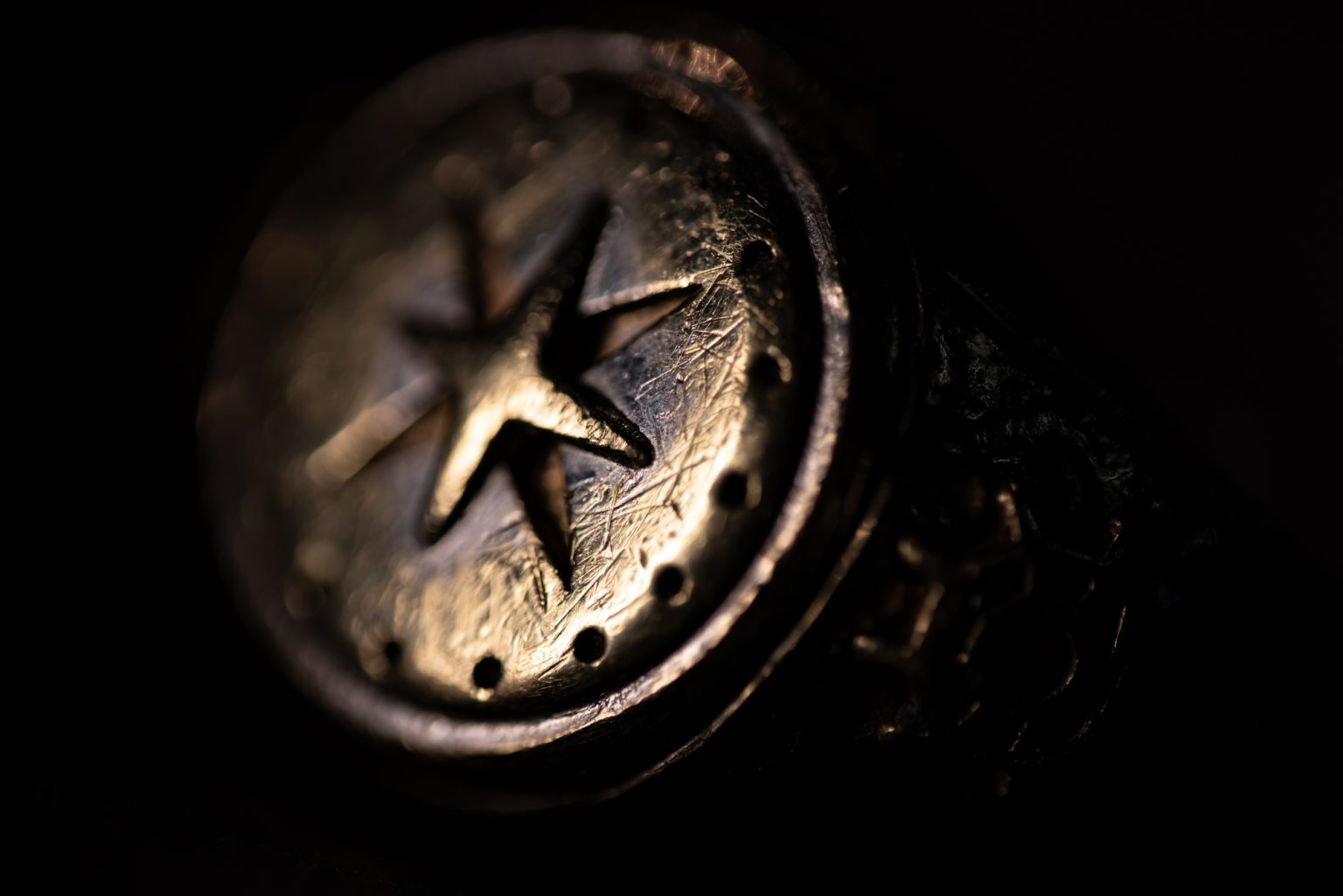 Galeria zdjęć przykładowych 2000px wykonana za pomocą aparatu Nikon D750 i obiektywu TTArtisan 100mm F2.8 Macro 2X&nbsp;