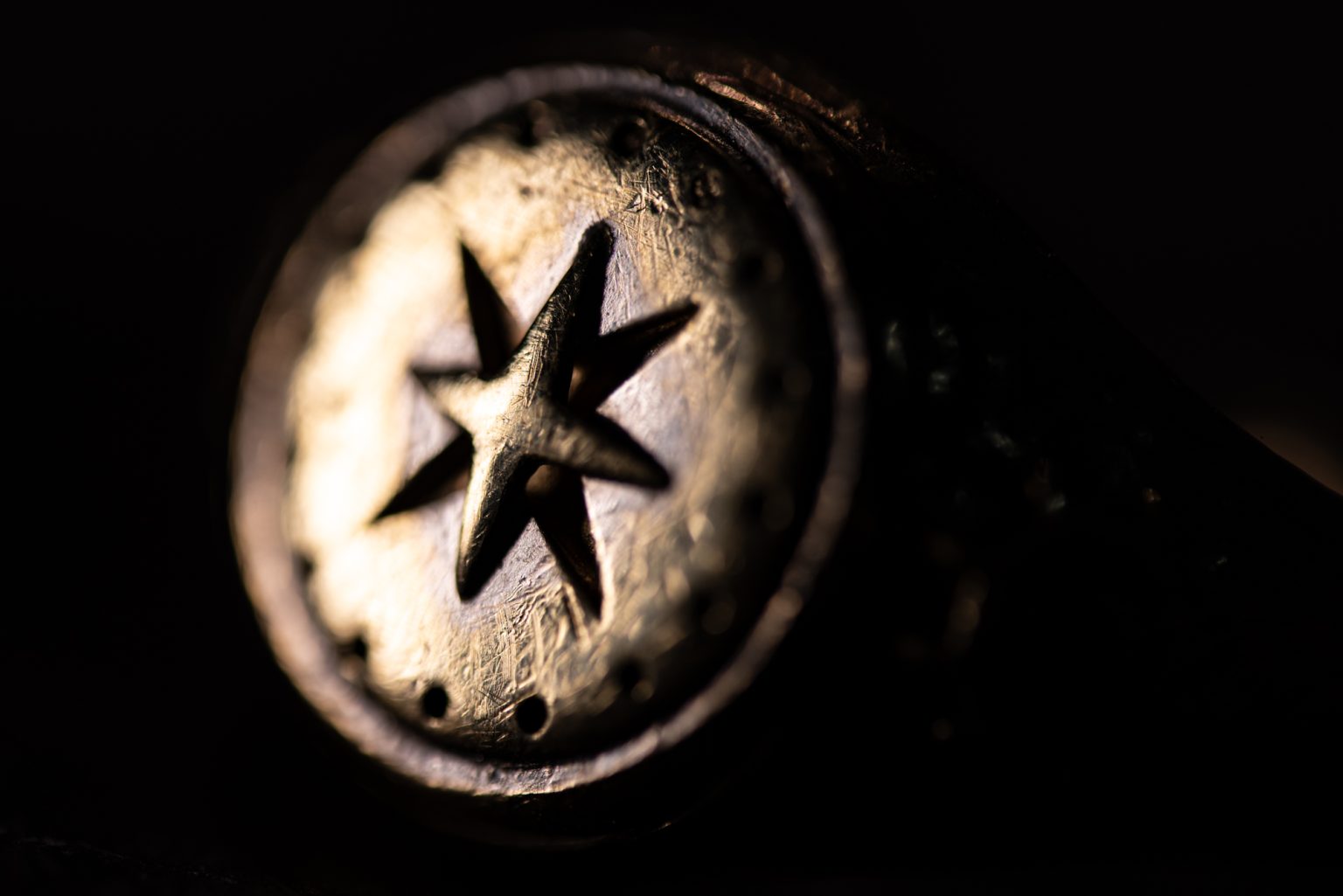 Galeria zdjęć przykładowych 2000px wykonana za pomocą aparatu Nikon D750 i obiektywu TTArtisan 100mm F2.8 Macro 2X&nbsp;