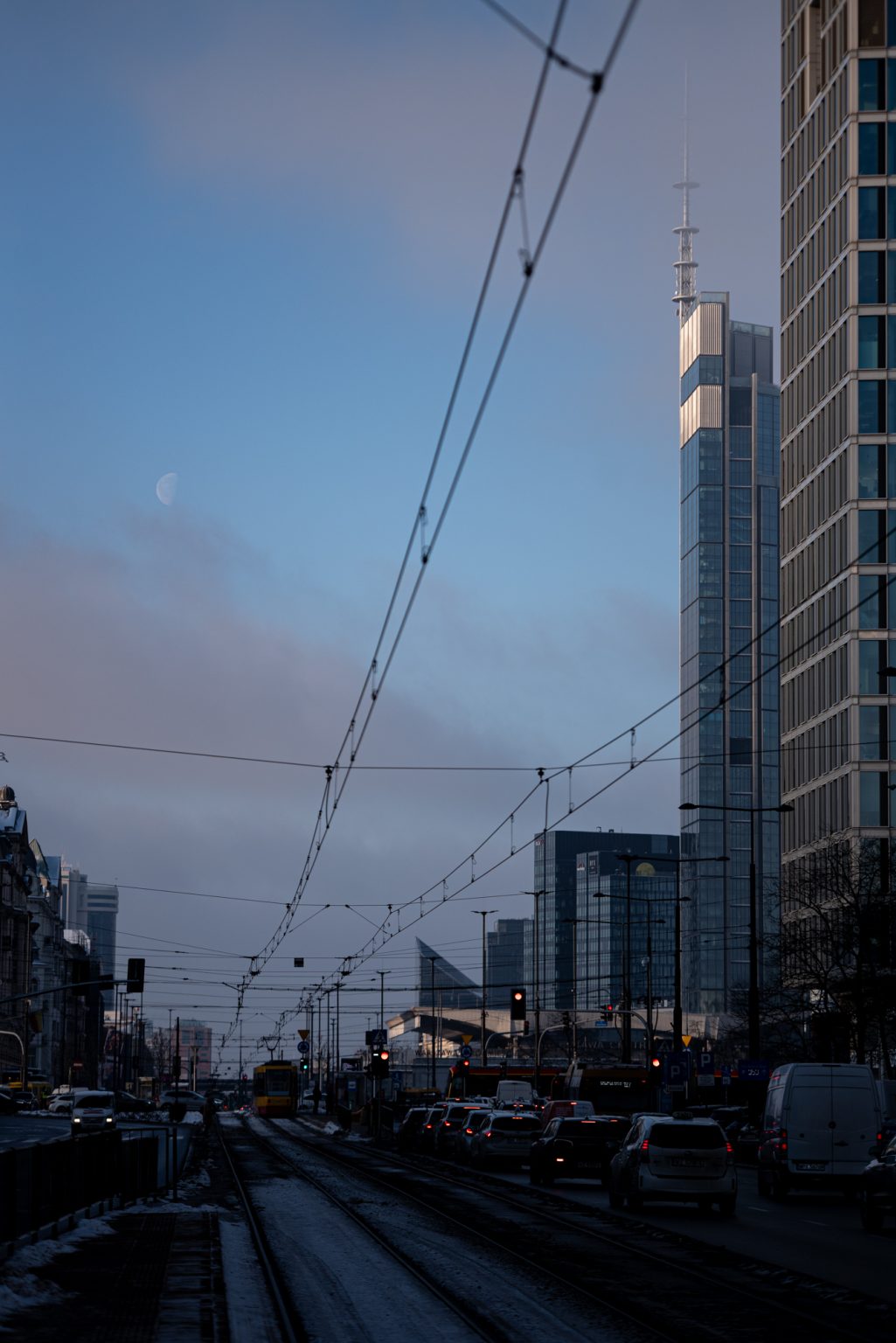 Galeria zdjęć przykładowych 2000px wykonana za pomocą aparatu Nikon D750 i obiektywu TTArtisan 100mm F2.8 Macro 2X&nbsp;