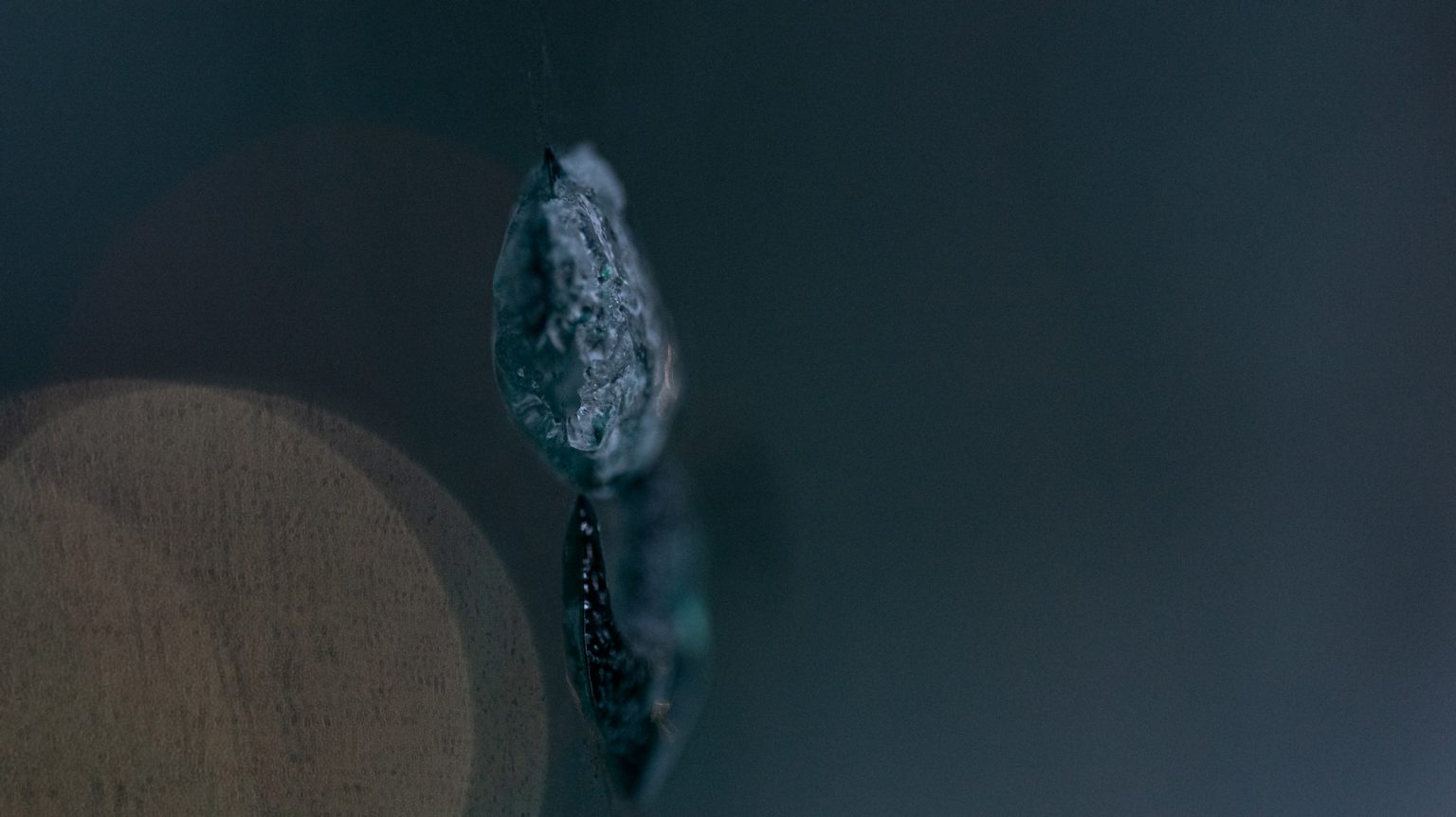 Galeria zdjęć przykładowych 2000px wykonana za pomocą aparatu Nikon D750 i obiektywu TTArtisan 100mm F2.8 Macro 2X&nbsp;