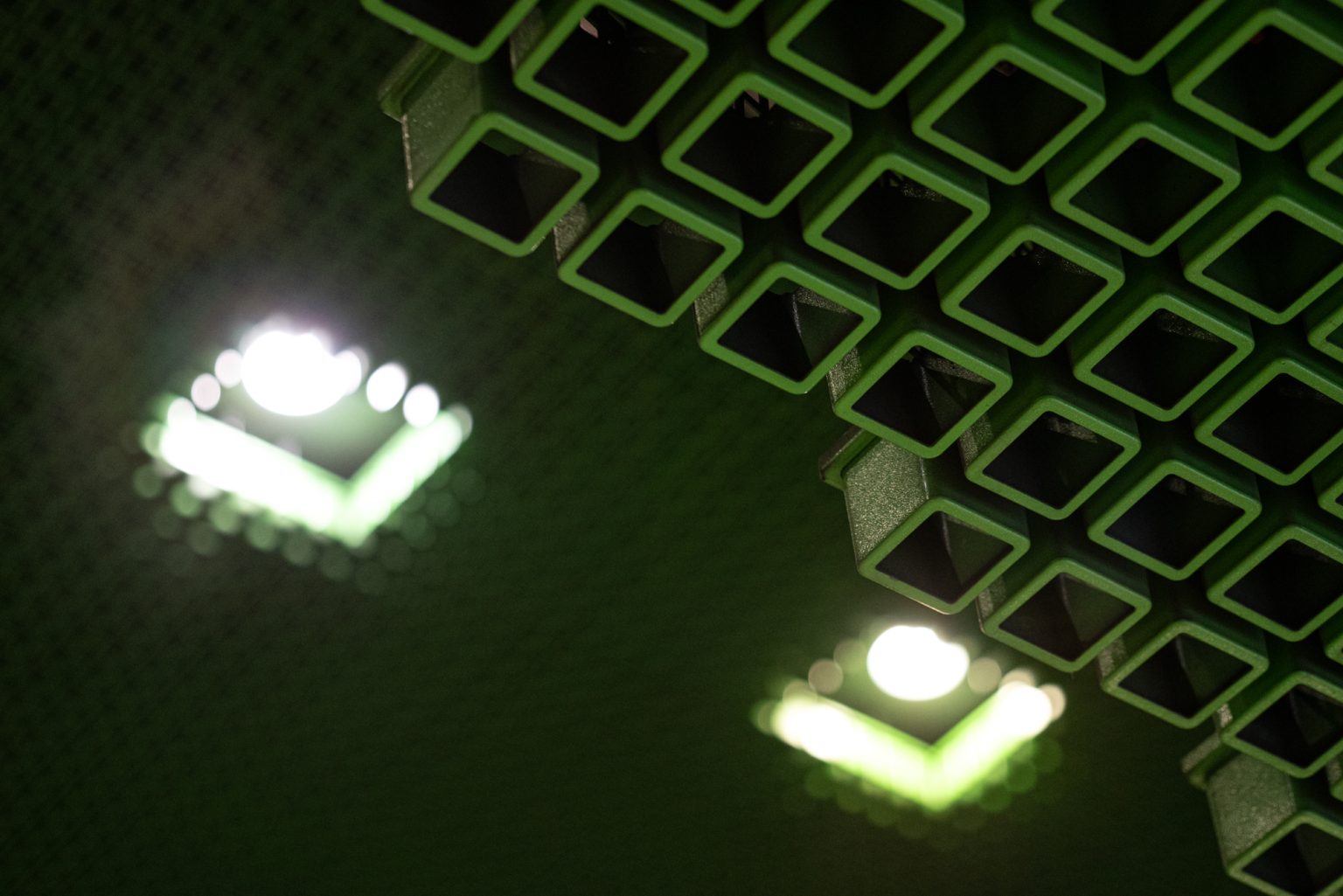 Galeria zdjęć przykładowych 2000px wykonana za pomocą aparatu Nikon D750 i obiektywu TTArtisan 100mm F2.8 Macro 2X&nbsp;