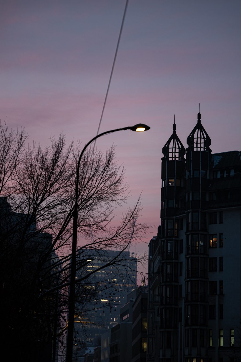 Galeria zdjęć przykładowych 2000px wykonana za pomocą aparatu Nikon D750 i obiektywu TTArtisan 100mm F2.8 Macro 2X&nbsp;